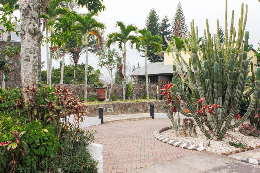 Three-Bedroom Villa - Photo 9