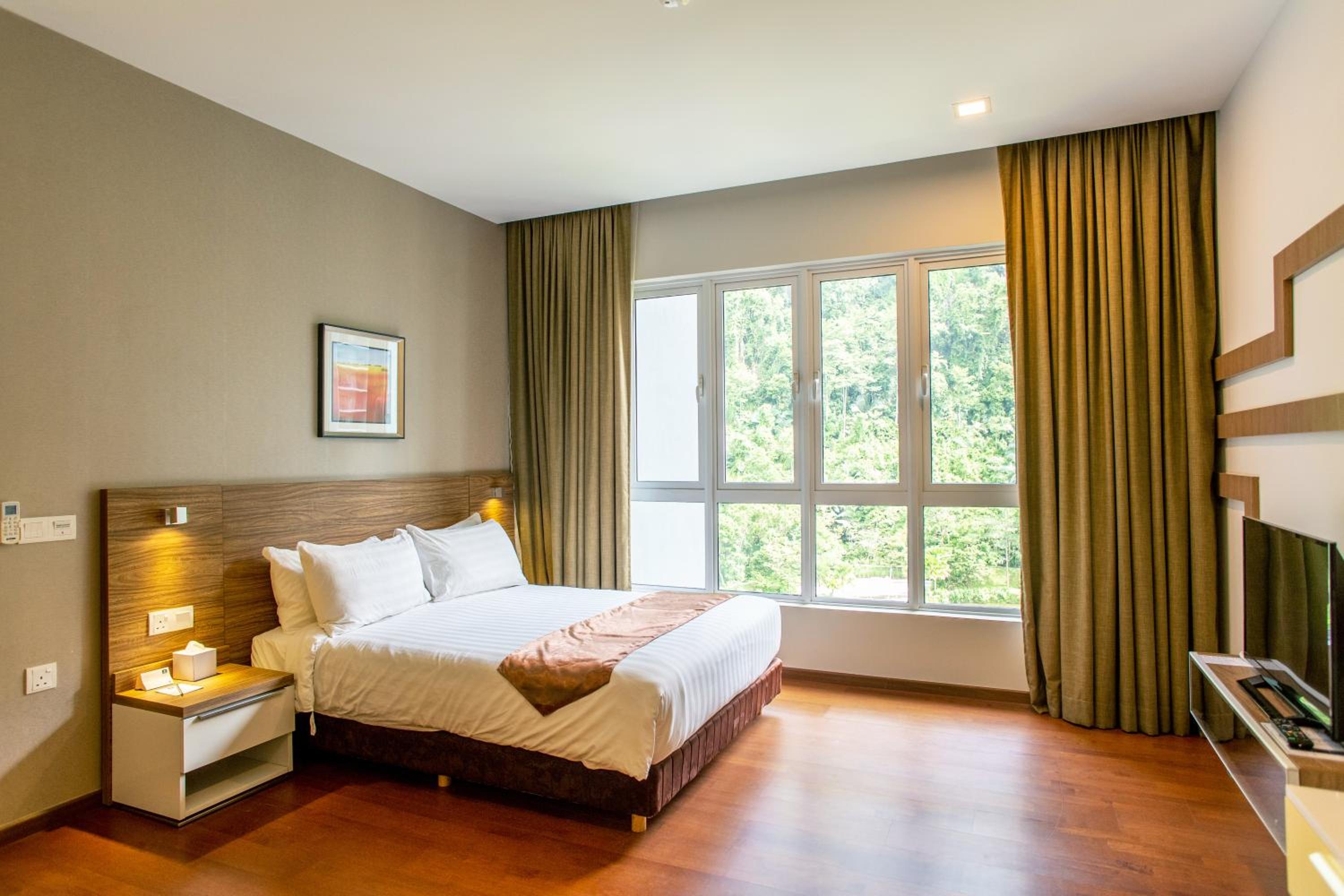 3 Bedroom Executive Suite Lakeview photo 3