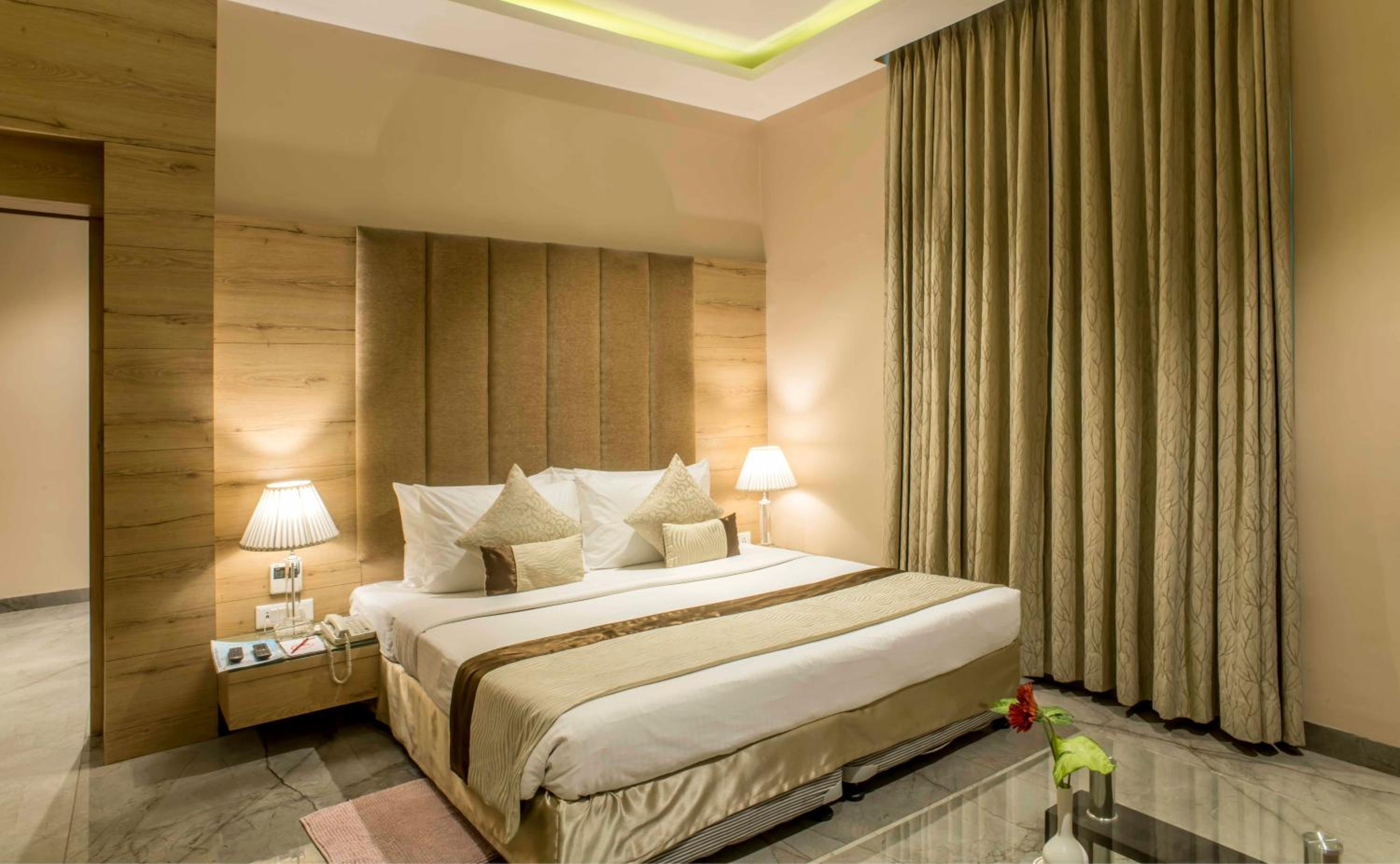 Suite - Photo 1