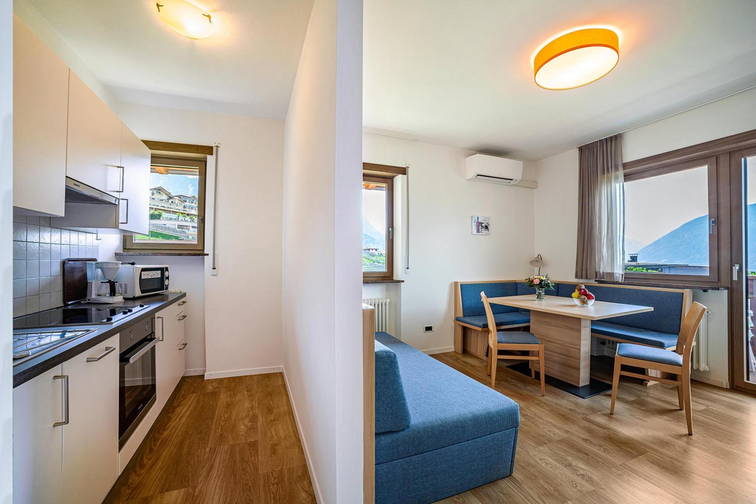 Superior One-Bedroom Apartment with Balcony photo 2