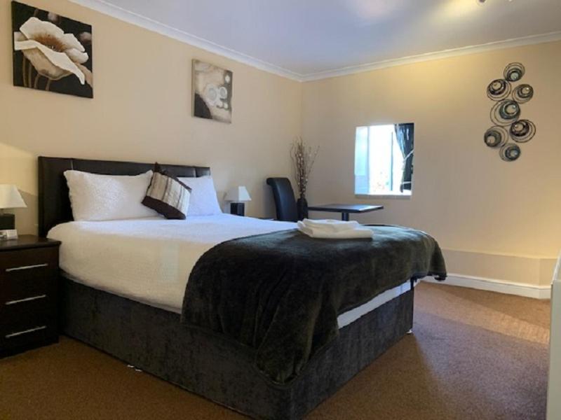 King Room - Photo 1