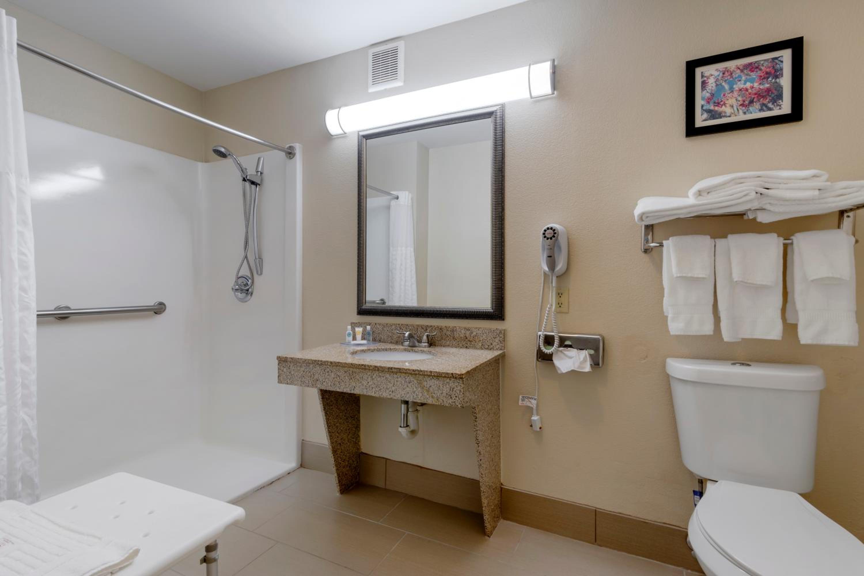 Comfort Suites Columbus State University Area, 사진 3