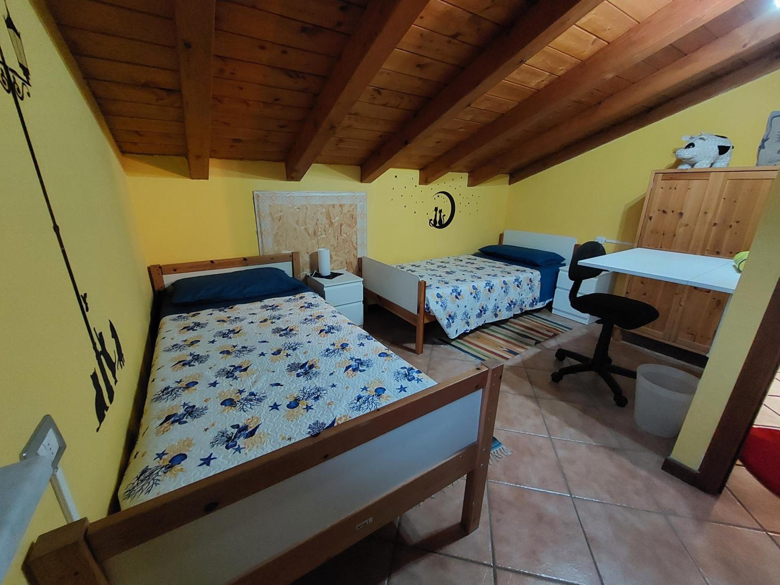 Twin Room photo 3
