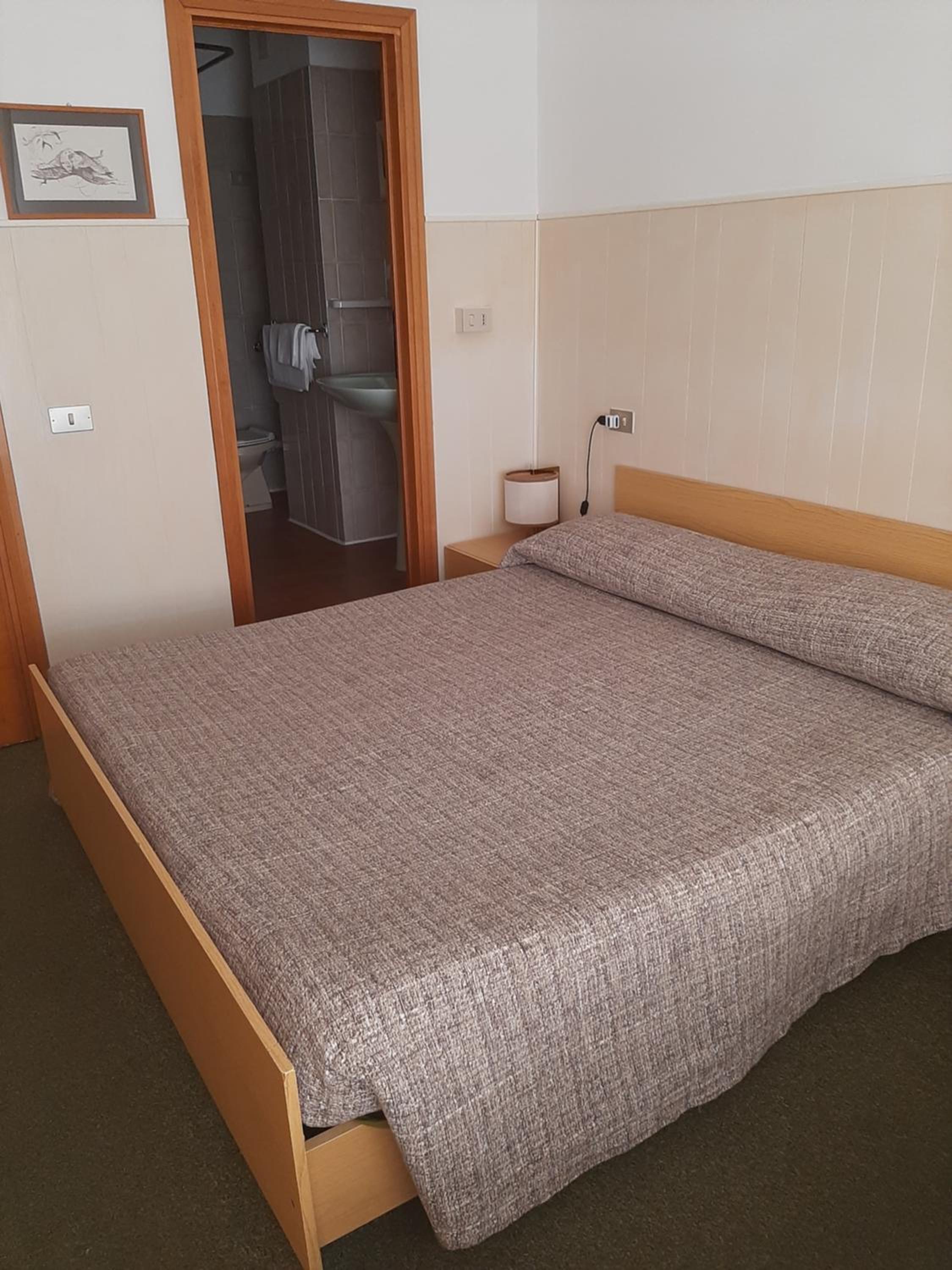 Double or Twin Room - Photo 1