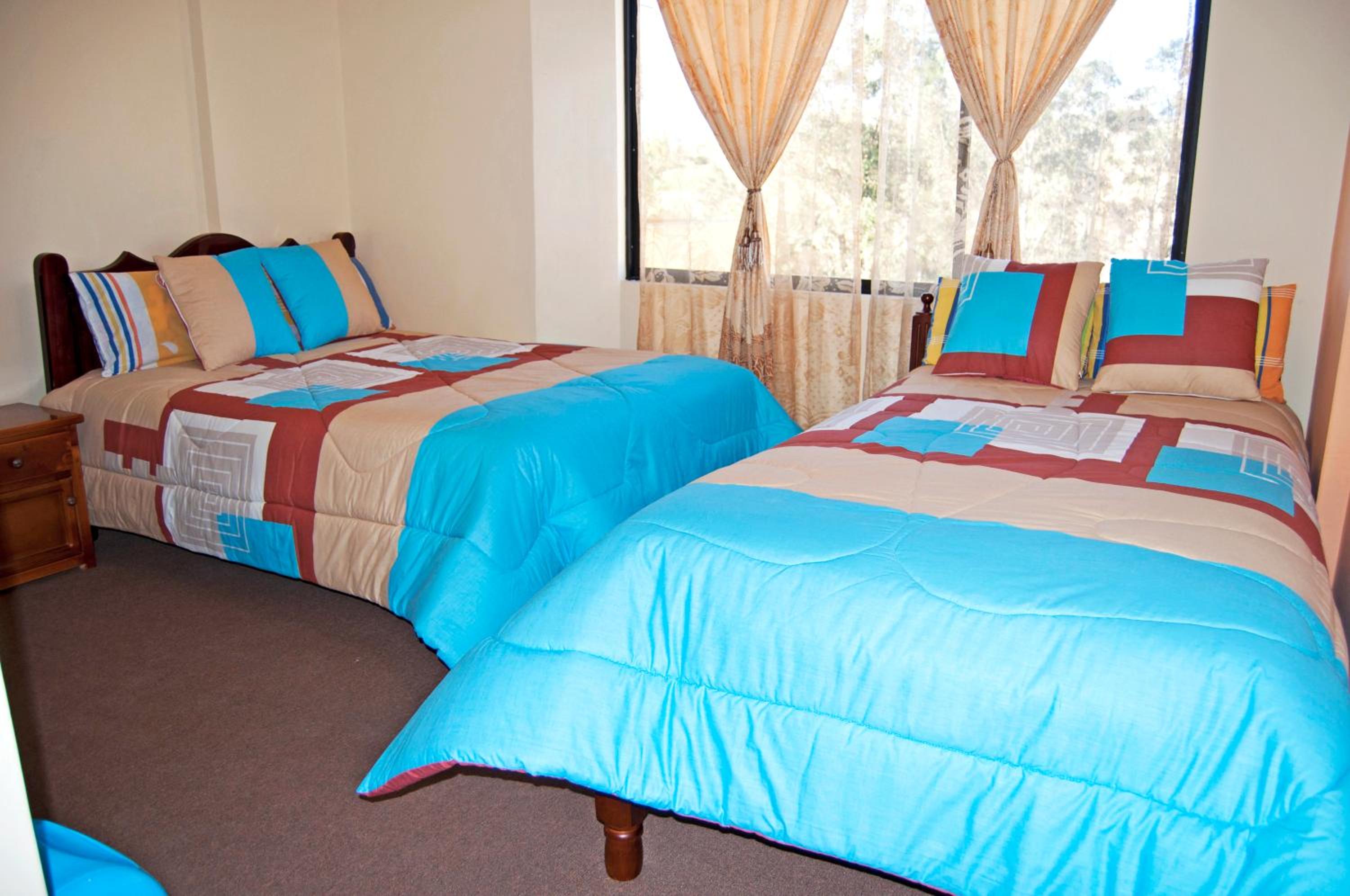 Twin Room photo 3