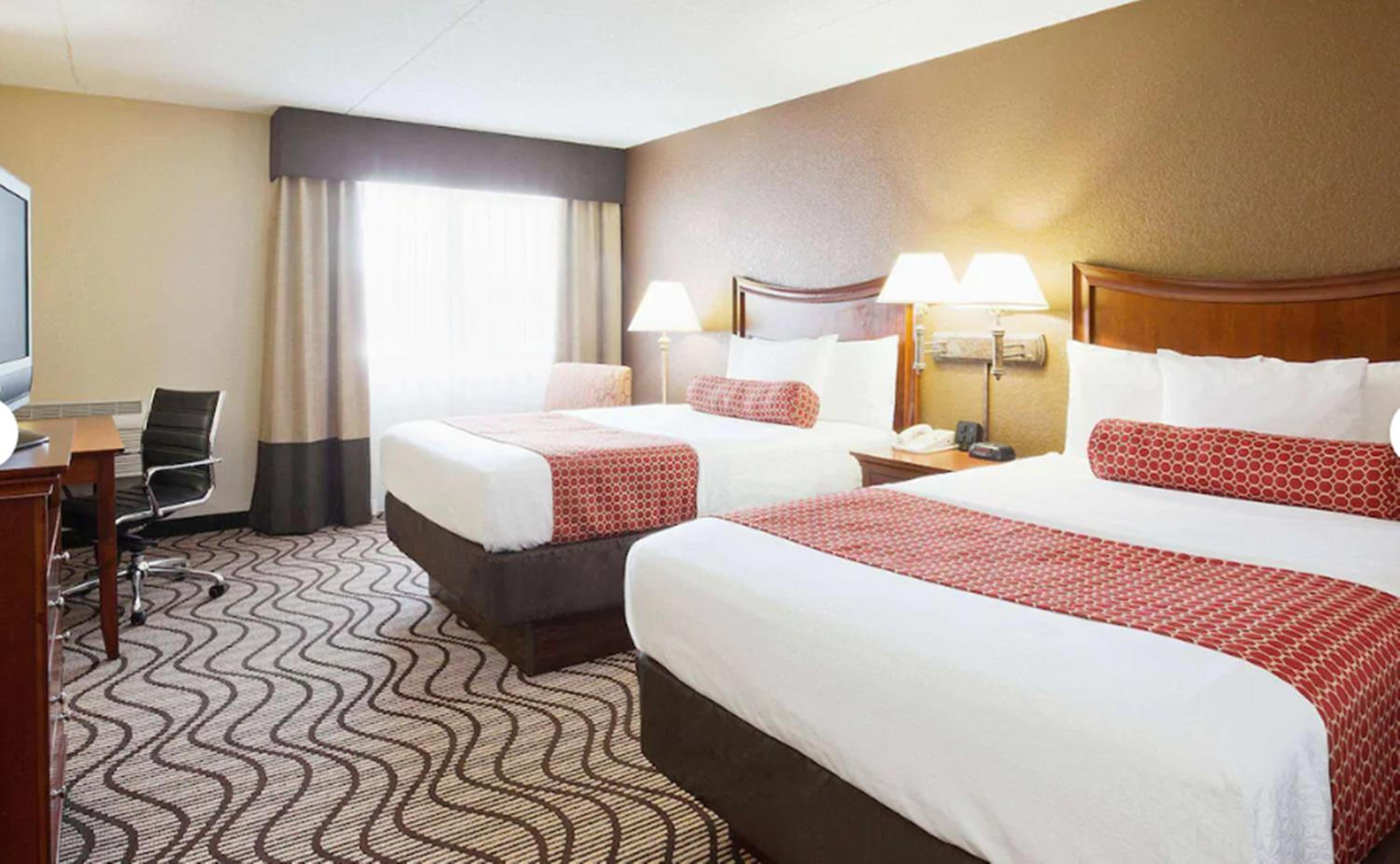 Single Room With Double Beds - Photo 7