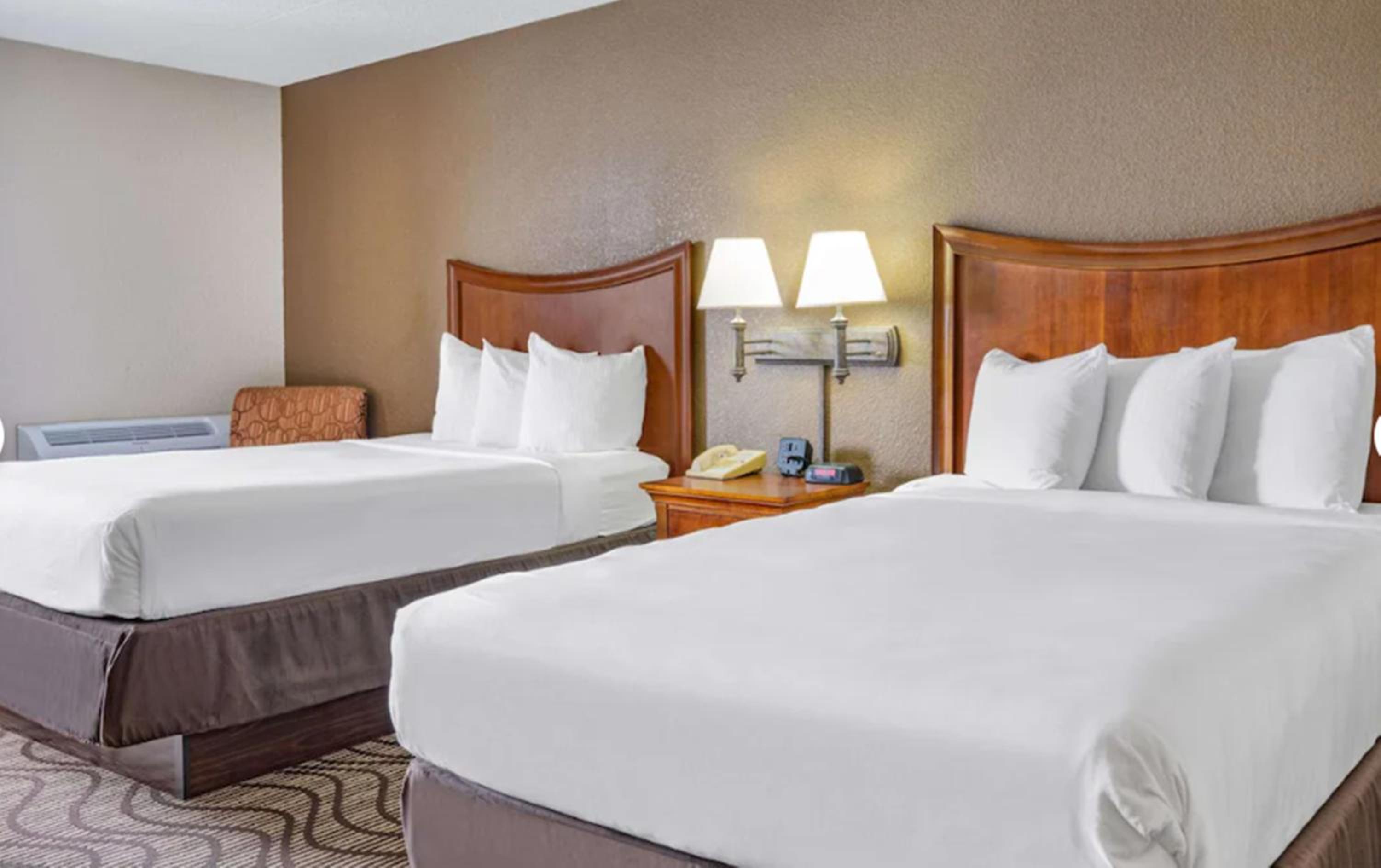 Single Room With Double Beds - Photo 2