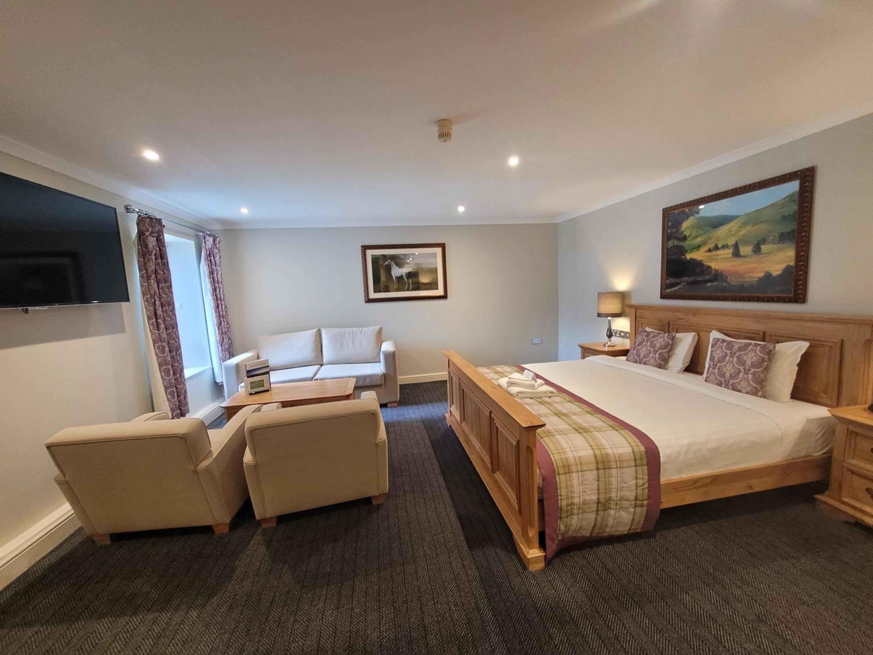 Suite - Photo 1