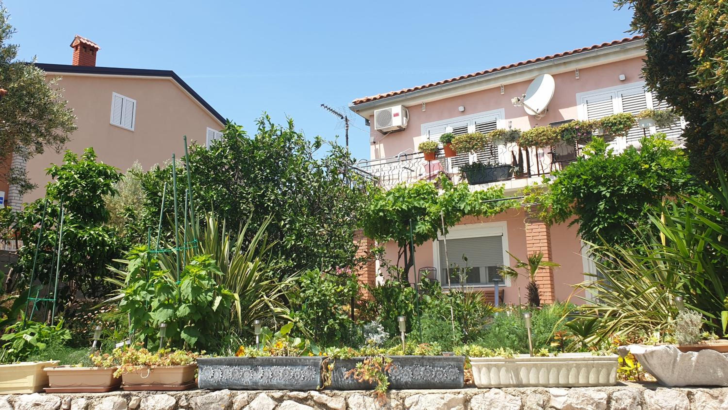 Apartment With Garden View photo 2
