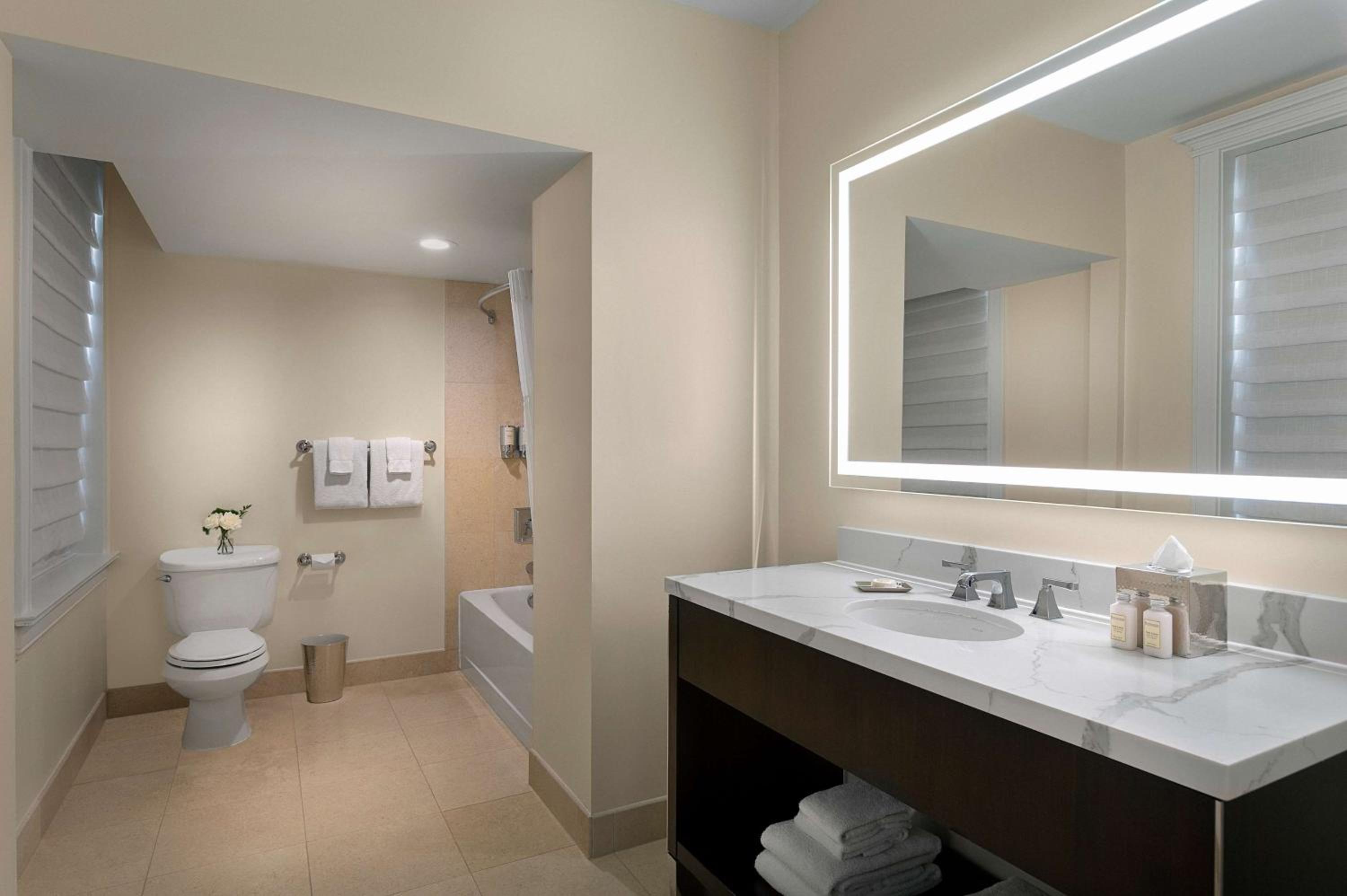 King- Mobility/Hearing Accessible - Tub  - Photo 7