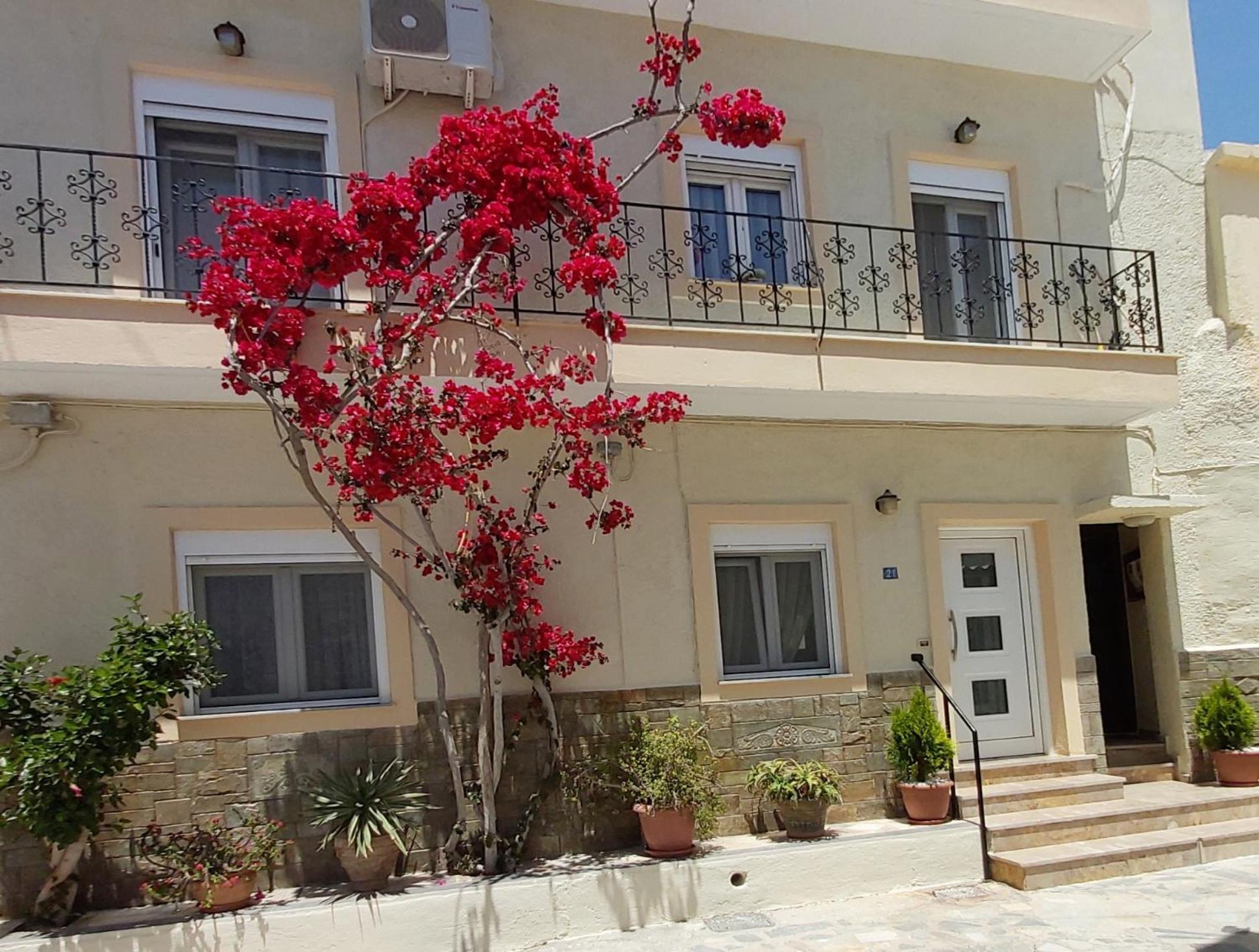 Apartment - Ground Floor photo 3
