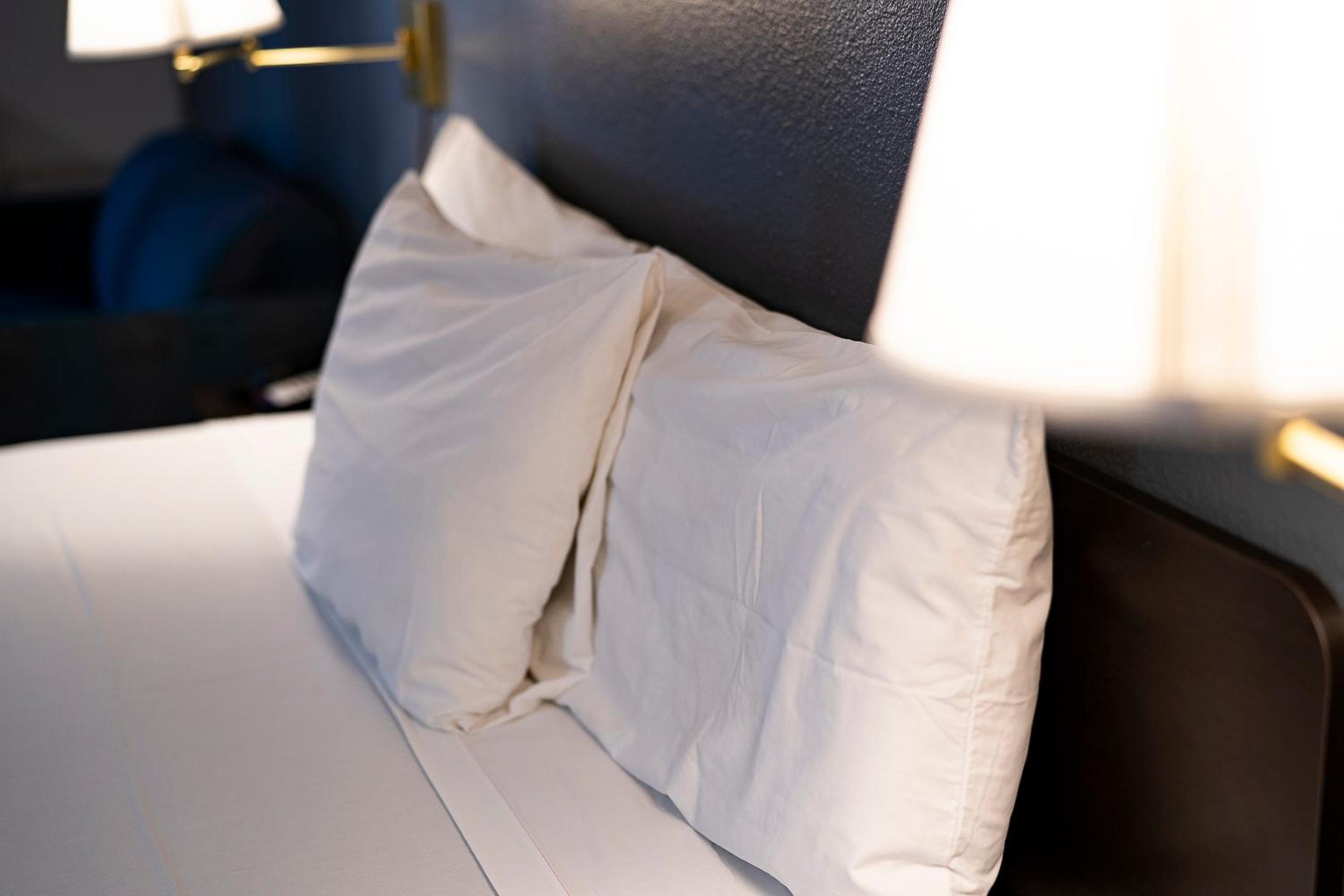 Premium King Bed with Kitchenette - Photo 5