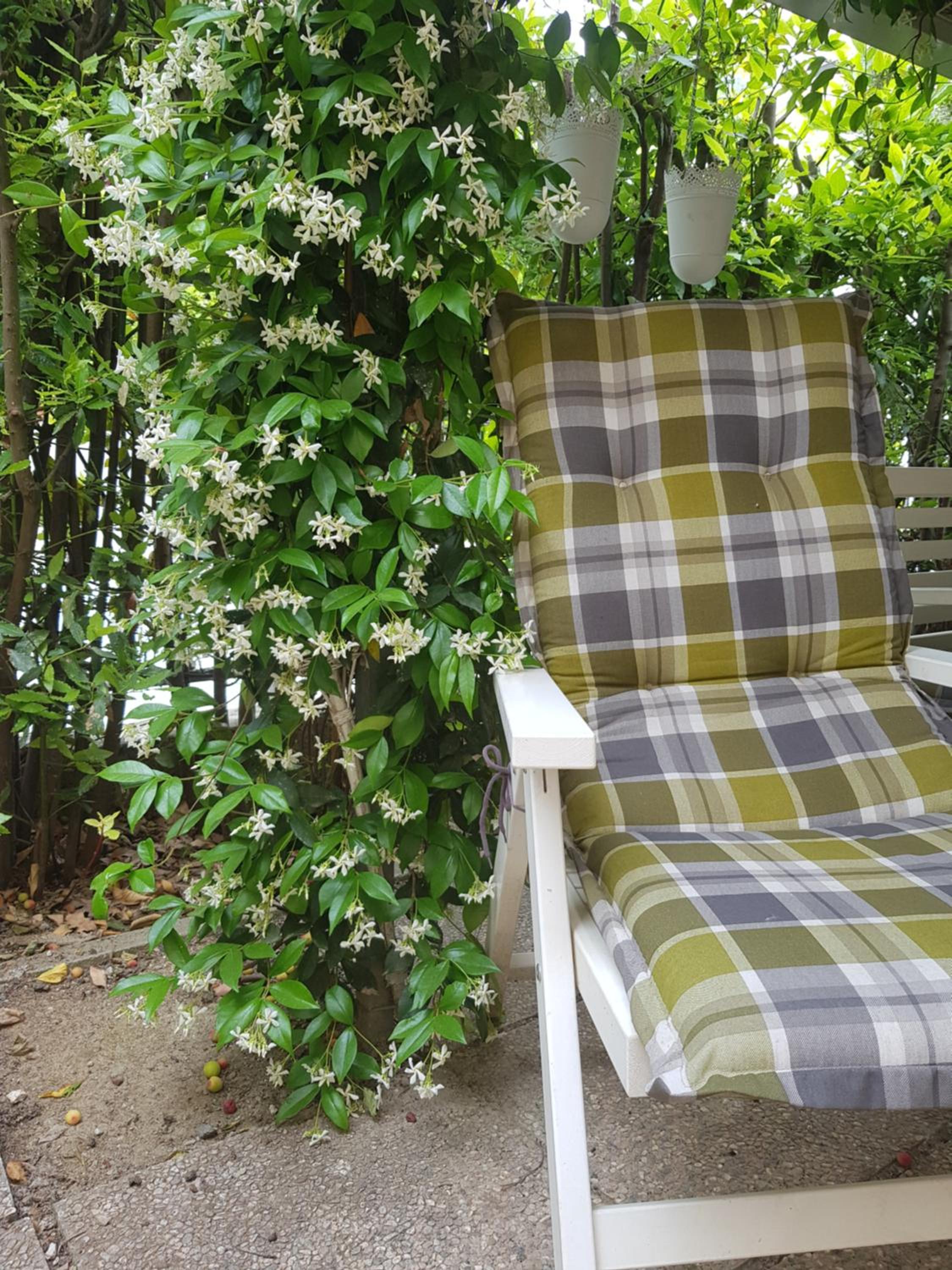 Vacation Home photo 2