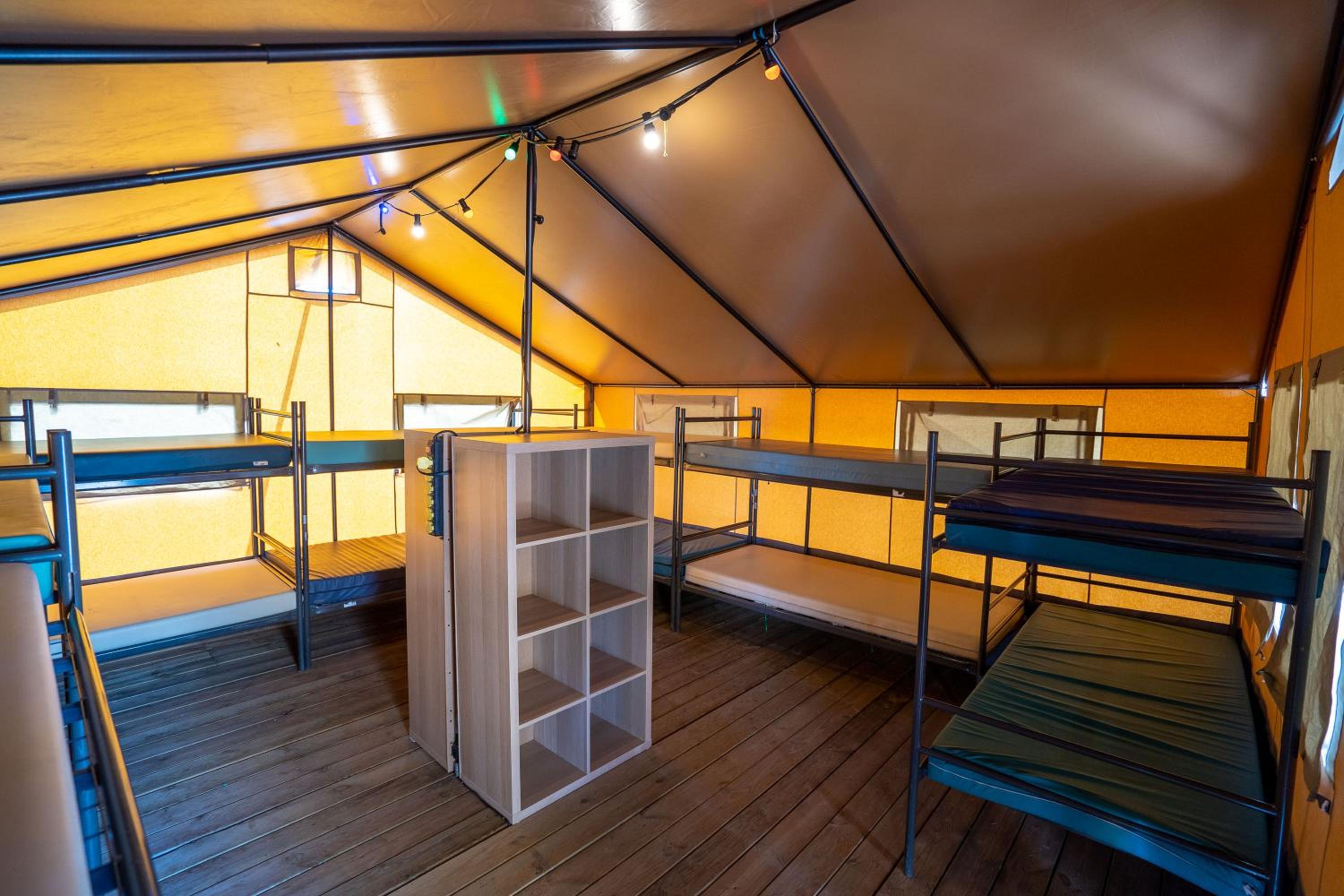 Bunk Bed in Mixed Dormitory Room