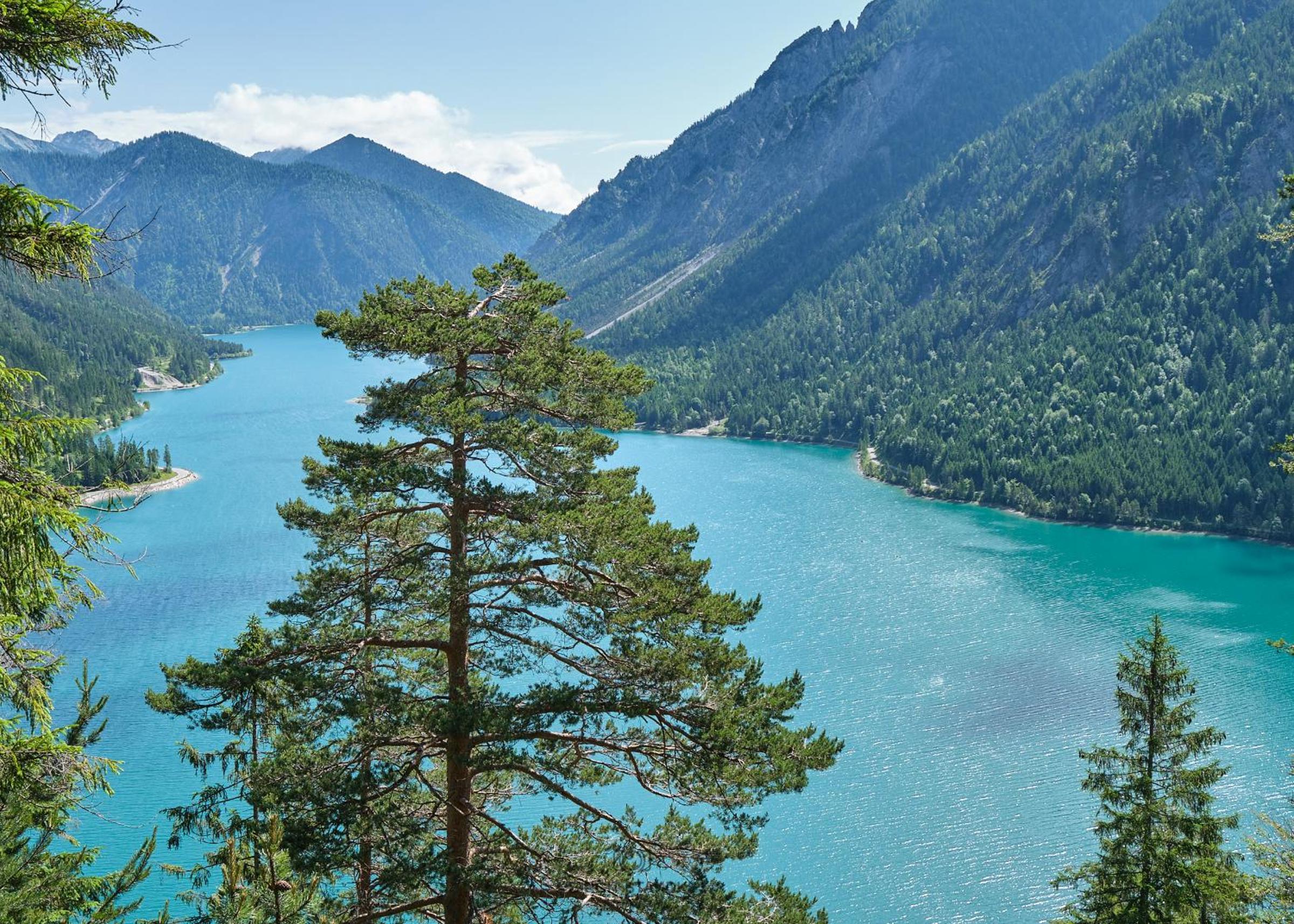 Two-Bedroom House photo 3