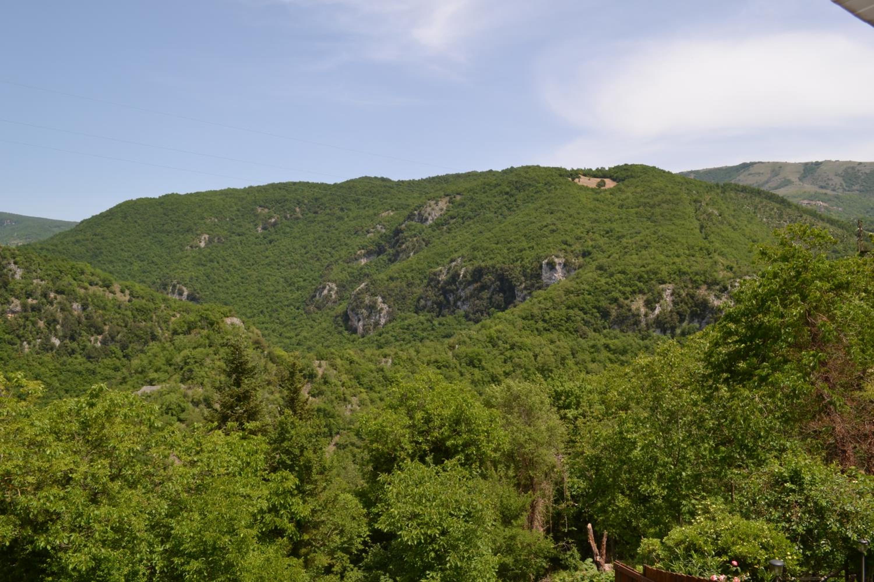 Apartment with Mountain View photo 3