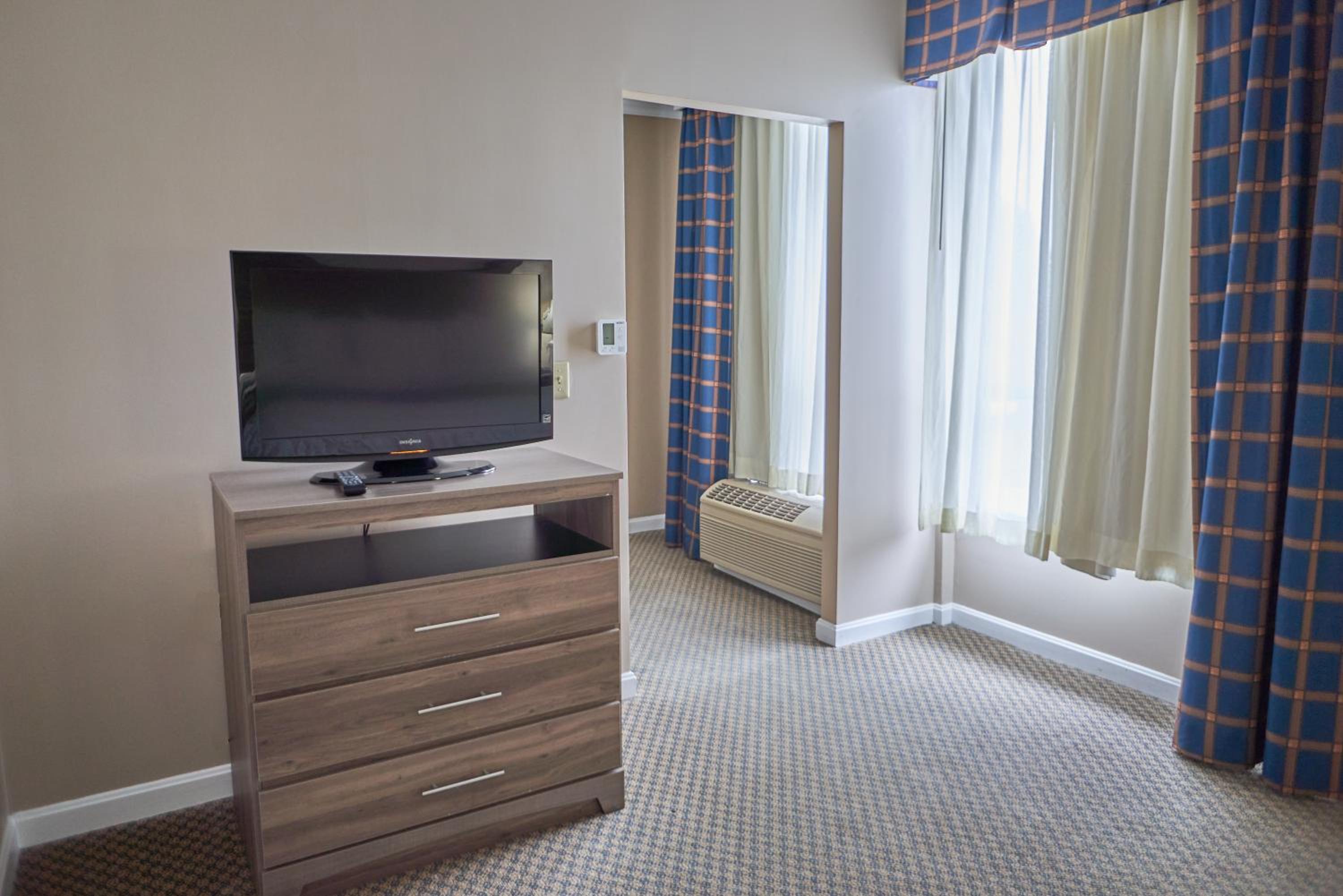 Deluxe King Suite - Photo 5