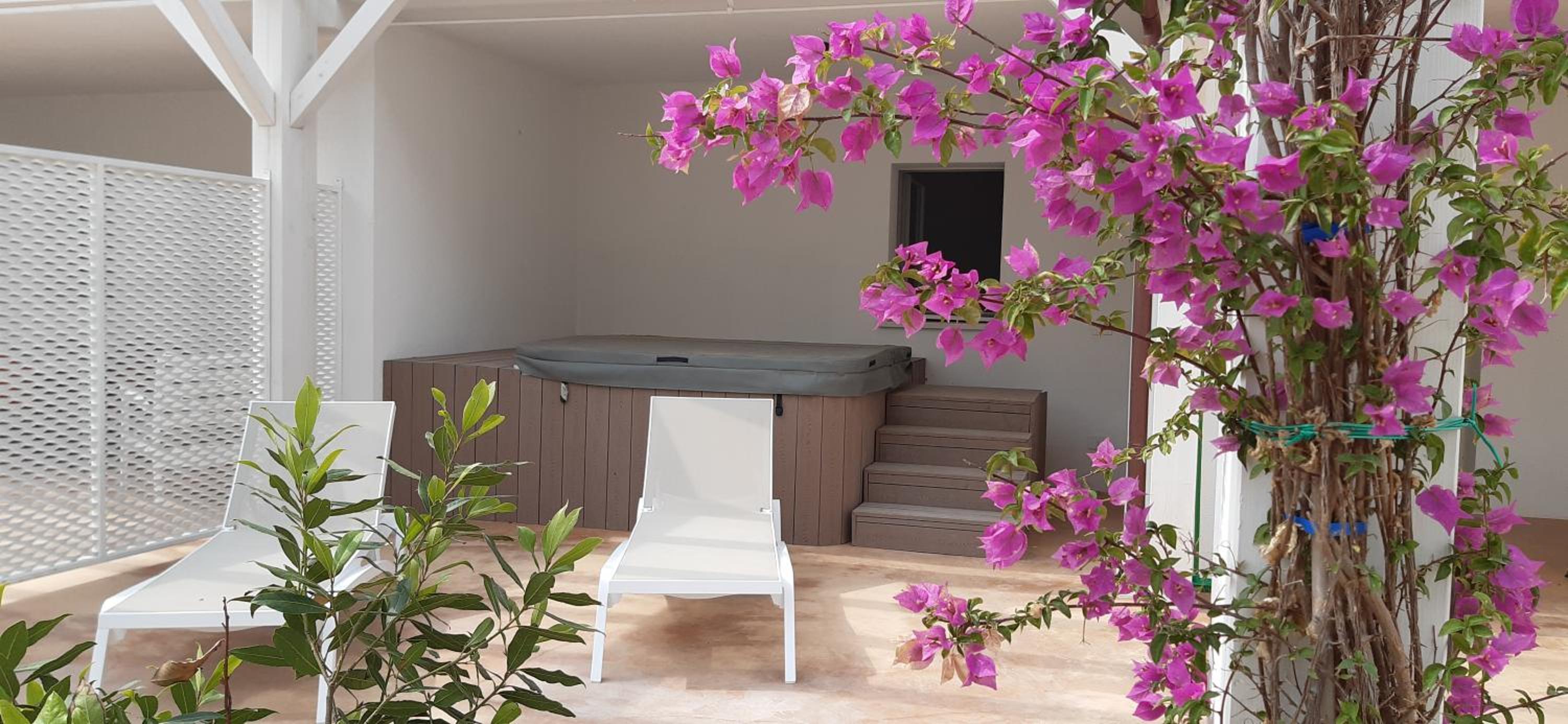Suite - Photo 8