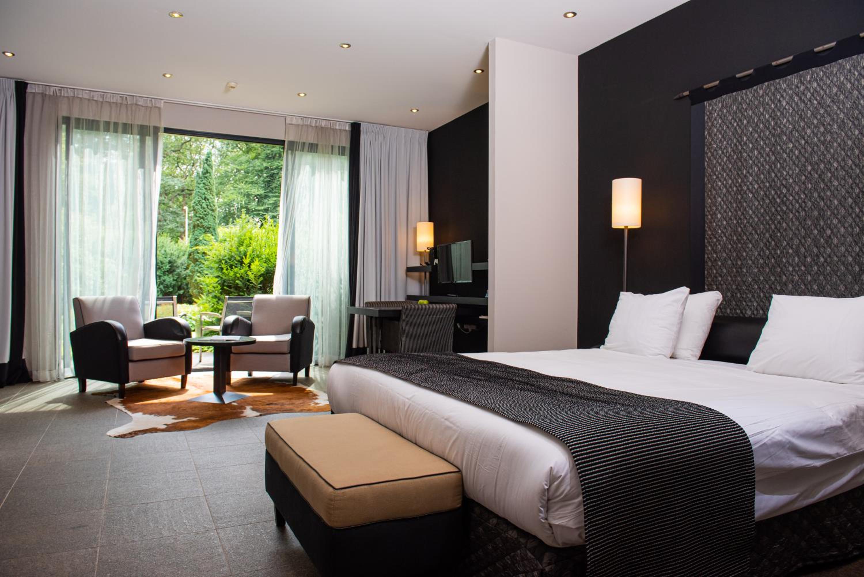 Suite - Photo 1
