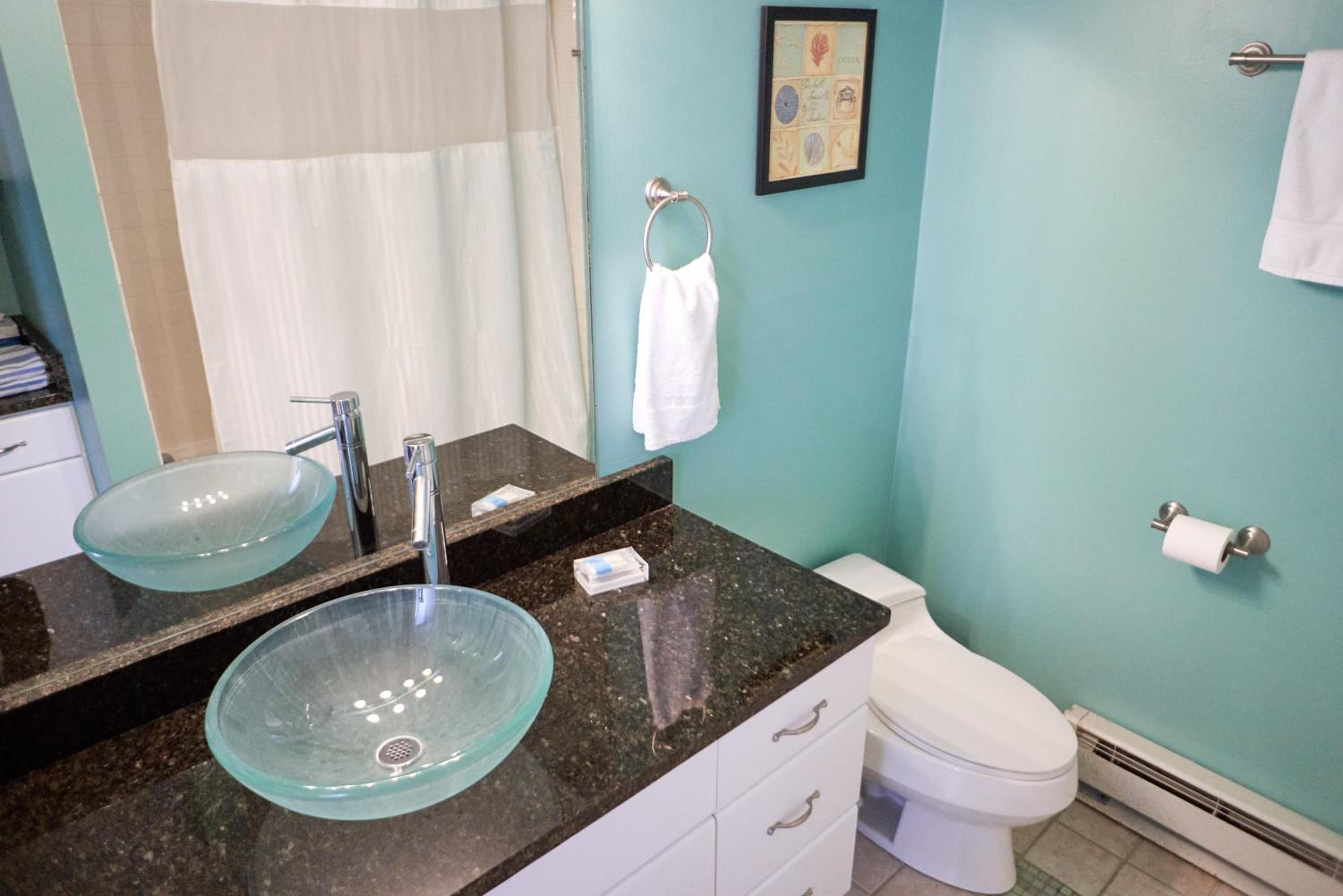 Deluxe King Suite - Photo 4