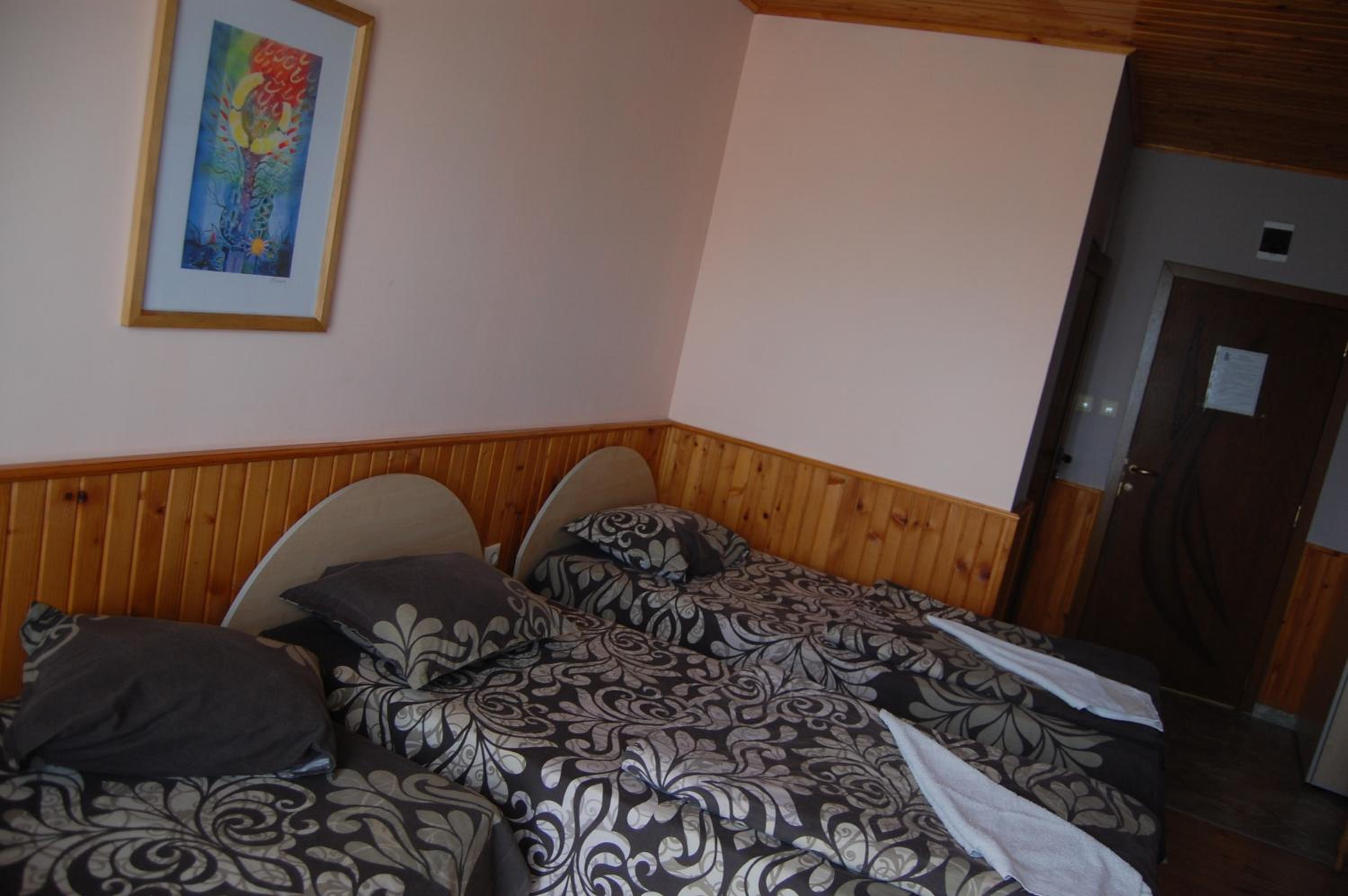 Standard Twin Room with Mountain View - Photo 1