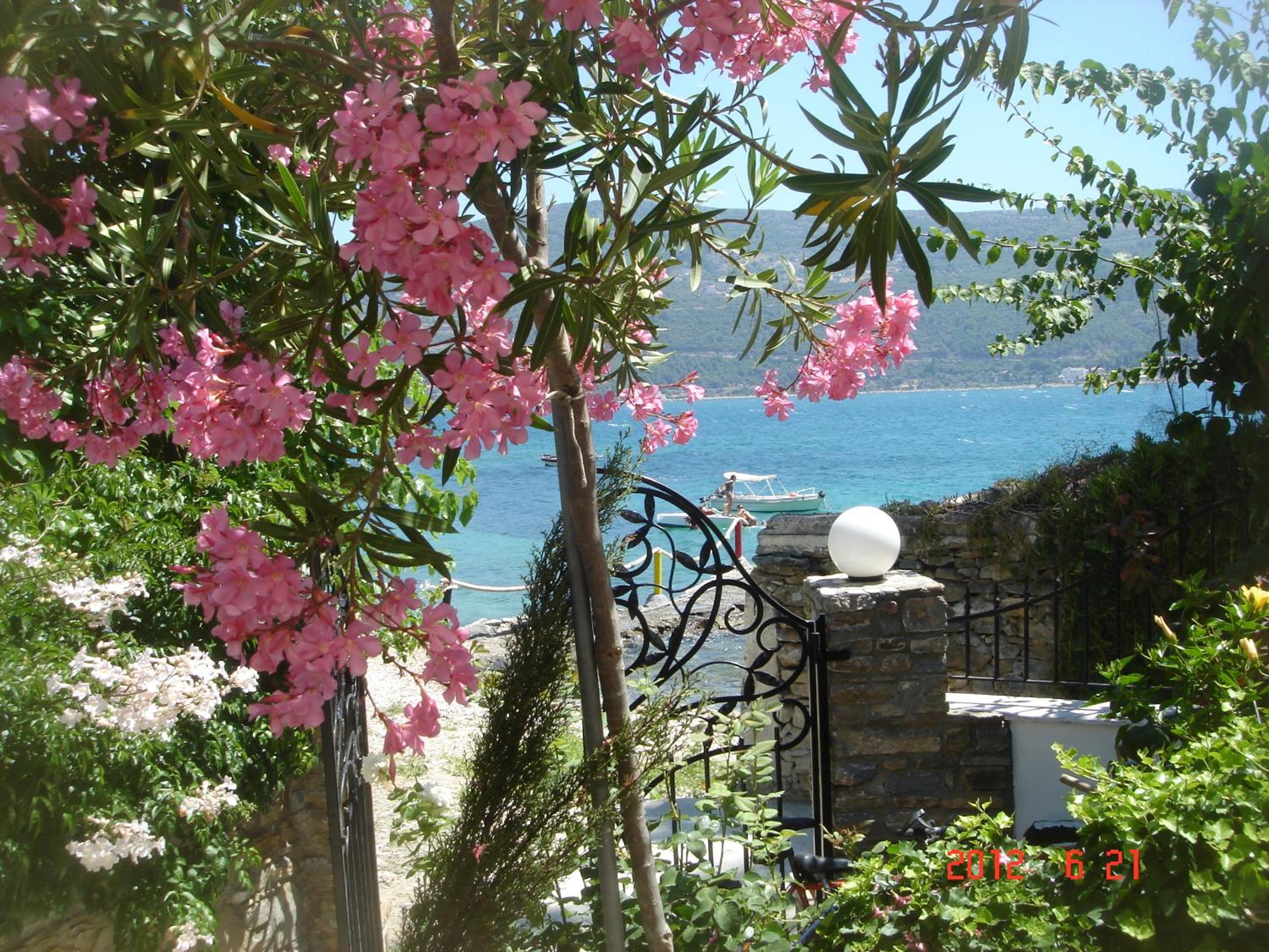 Studio with Sea View photo 3