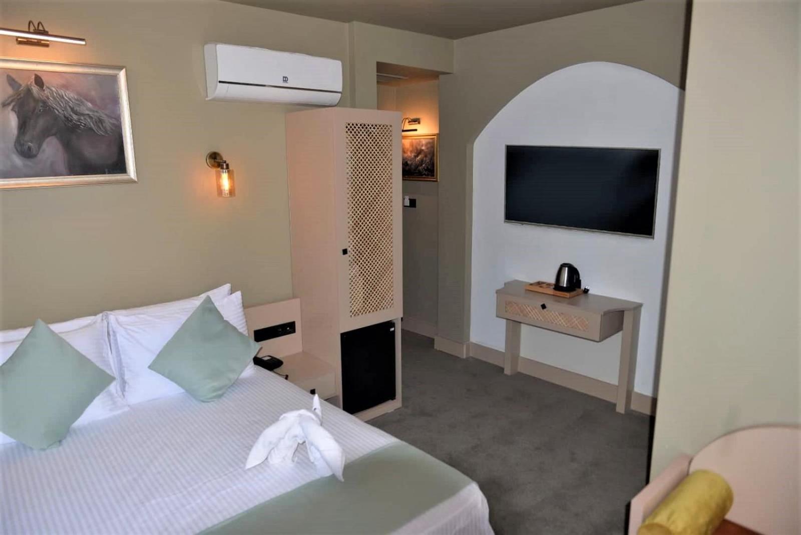 Deluxe Double Room photo 3