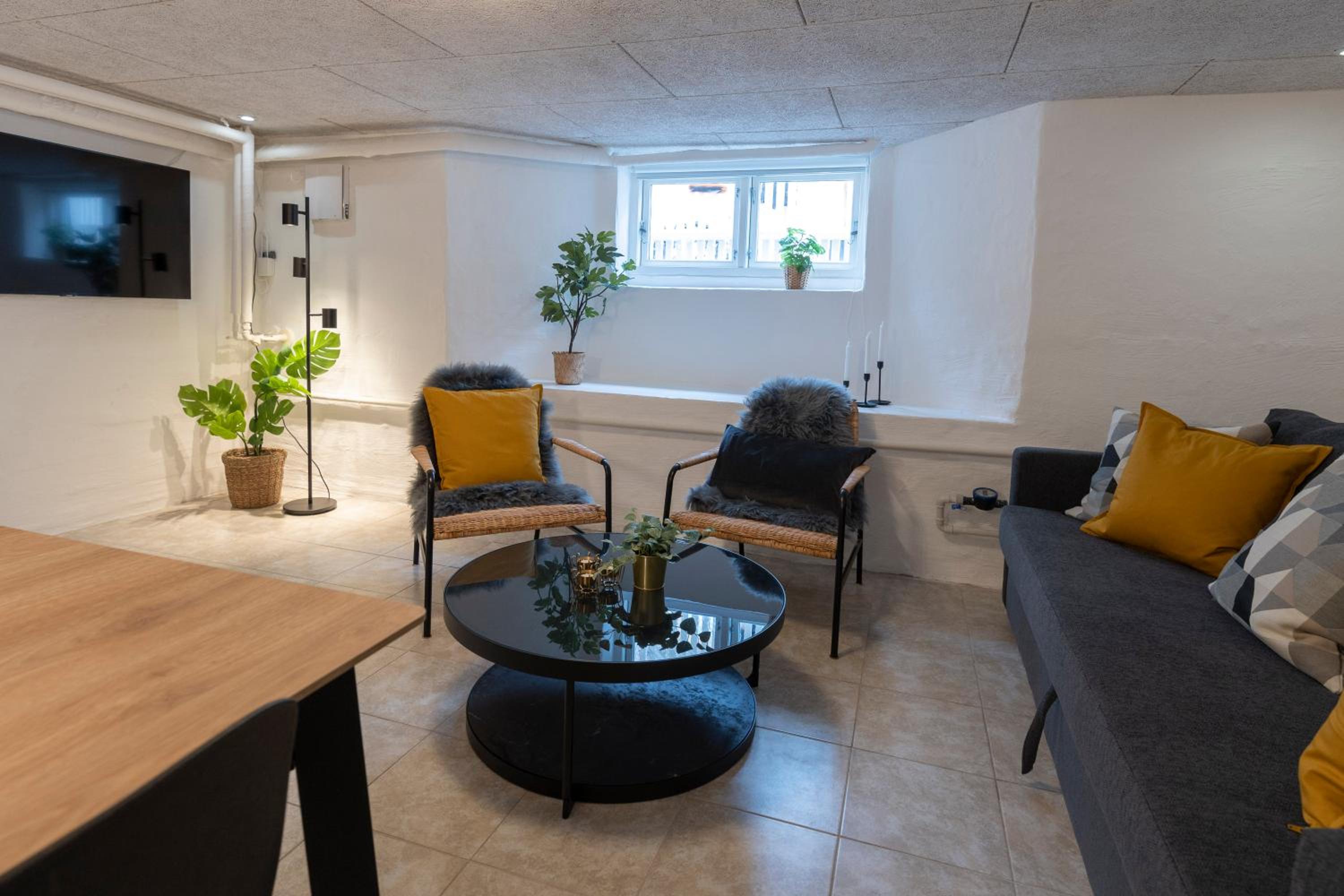Three-Bedroom Apartment in Basement