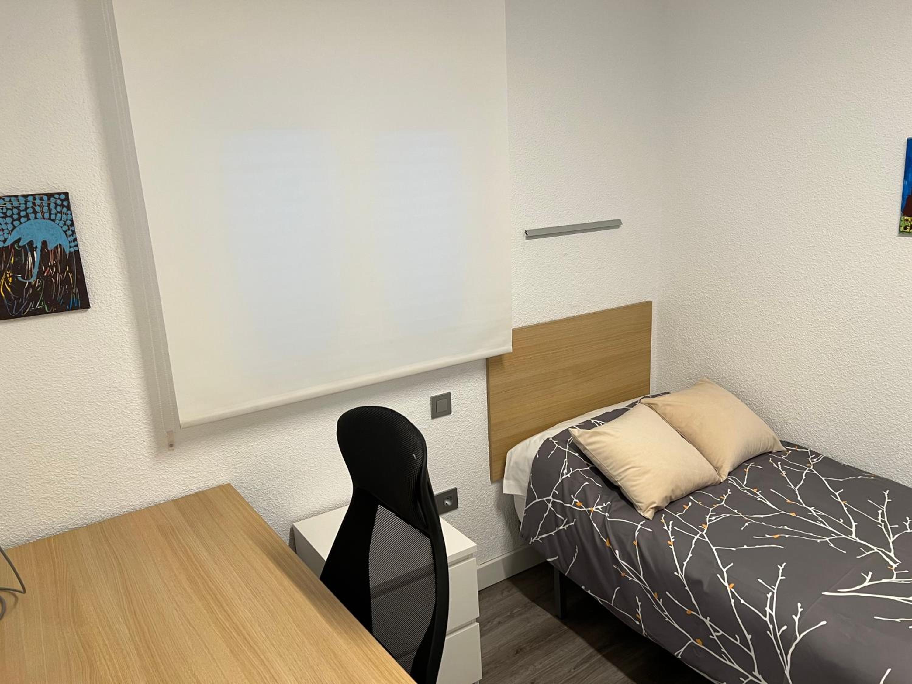 Single Room photo 3
