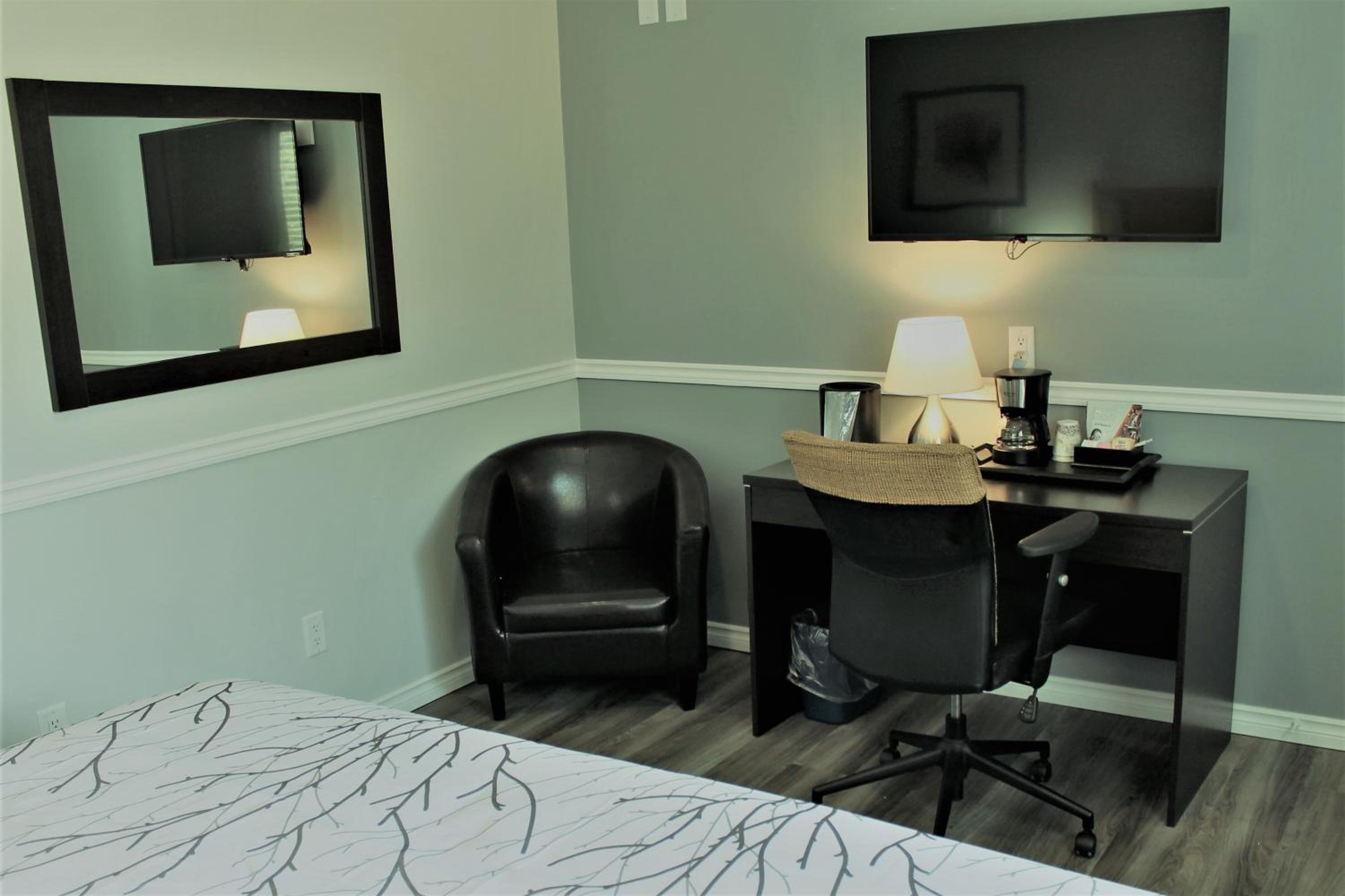 King Room Pet Friendly photo 3