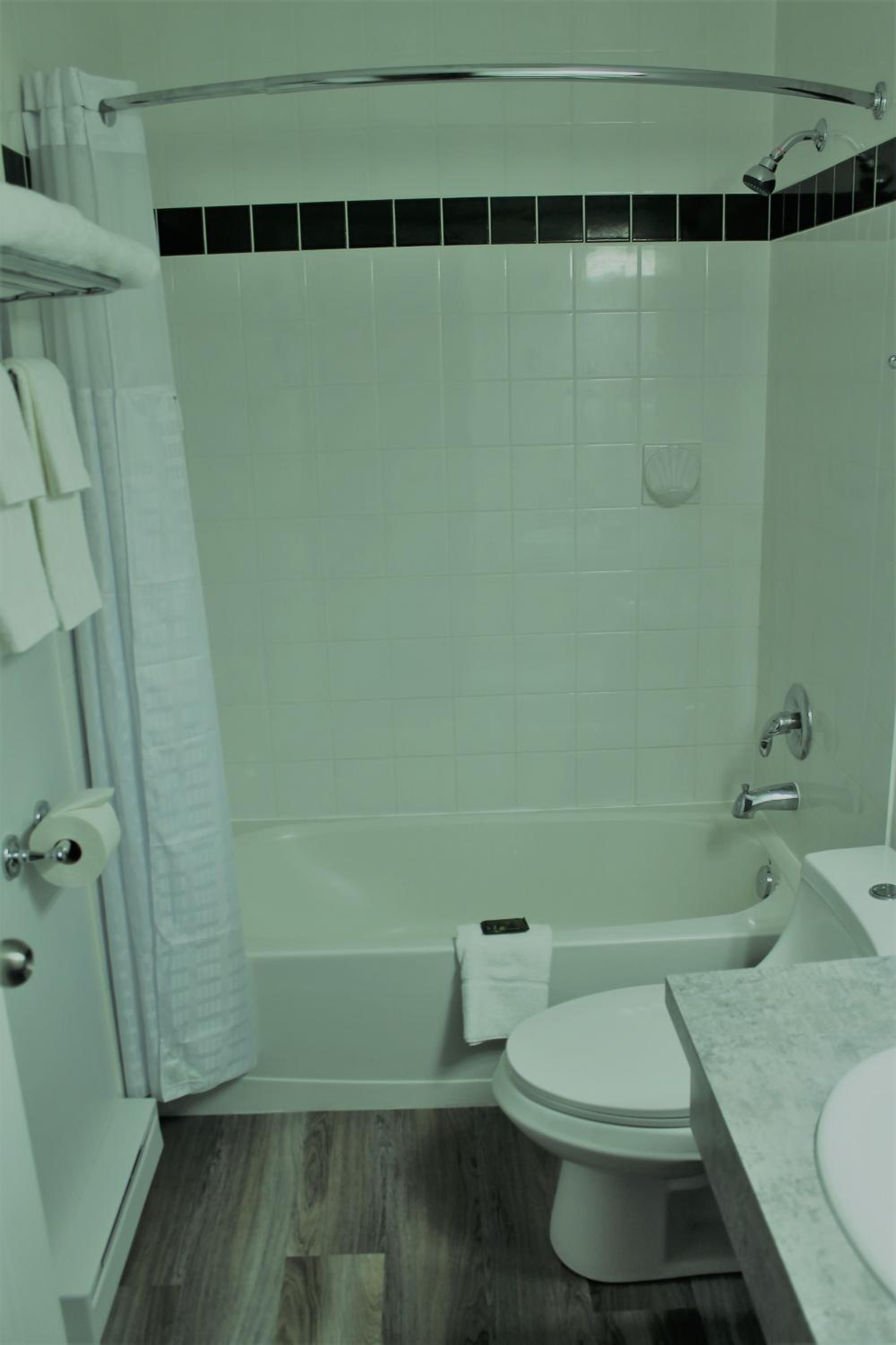 King Room Pet Friendly photo 2