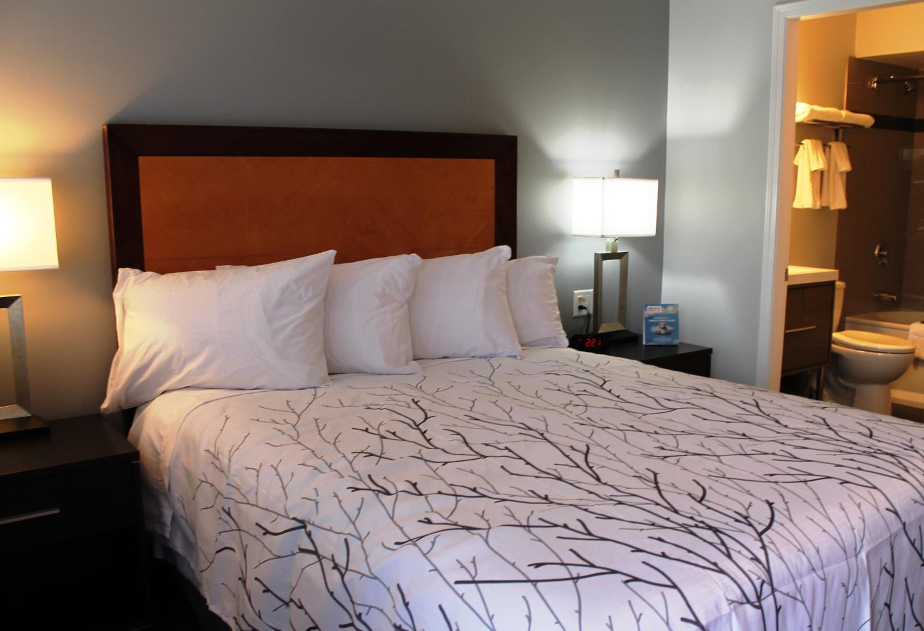Courtyard Queen Room Pet Friendly