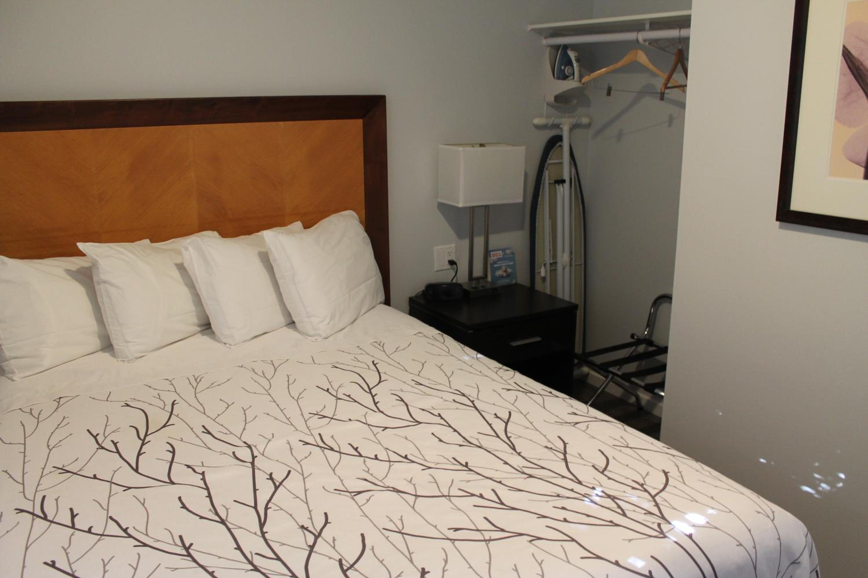 Queen Bedroom Suite Pet Friendly