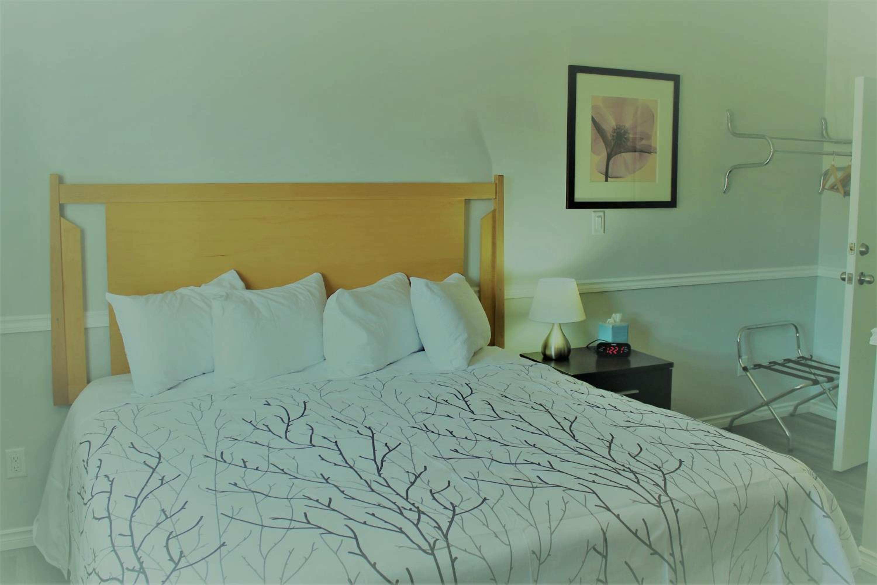 King Room Pet Friendly