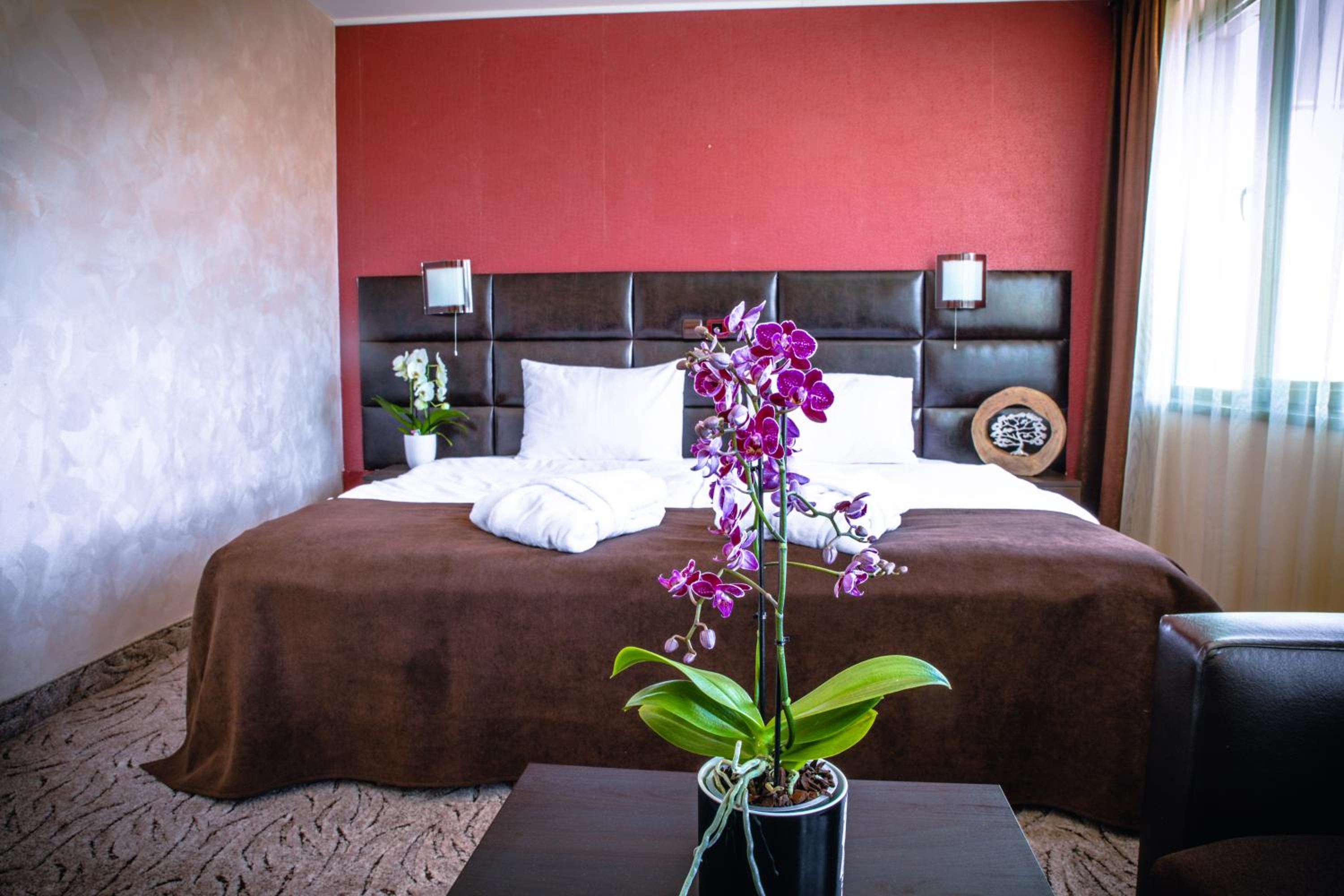 Deluxe Double Room (2 Adults) photo 2