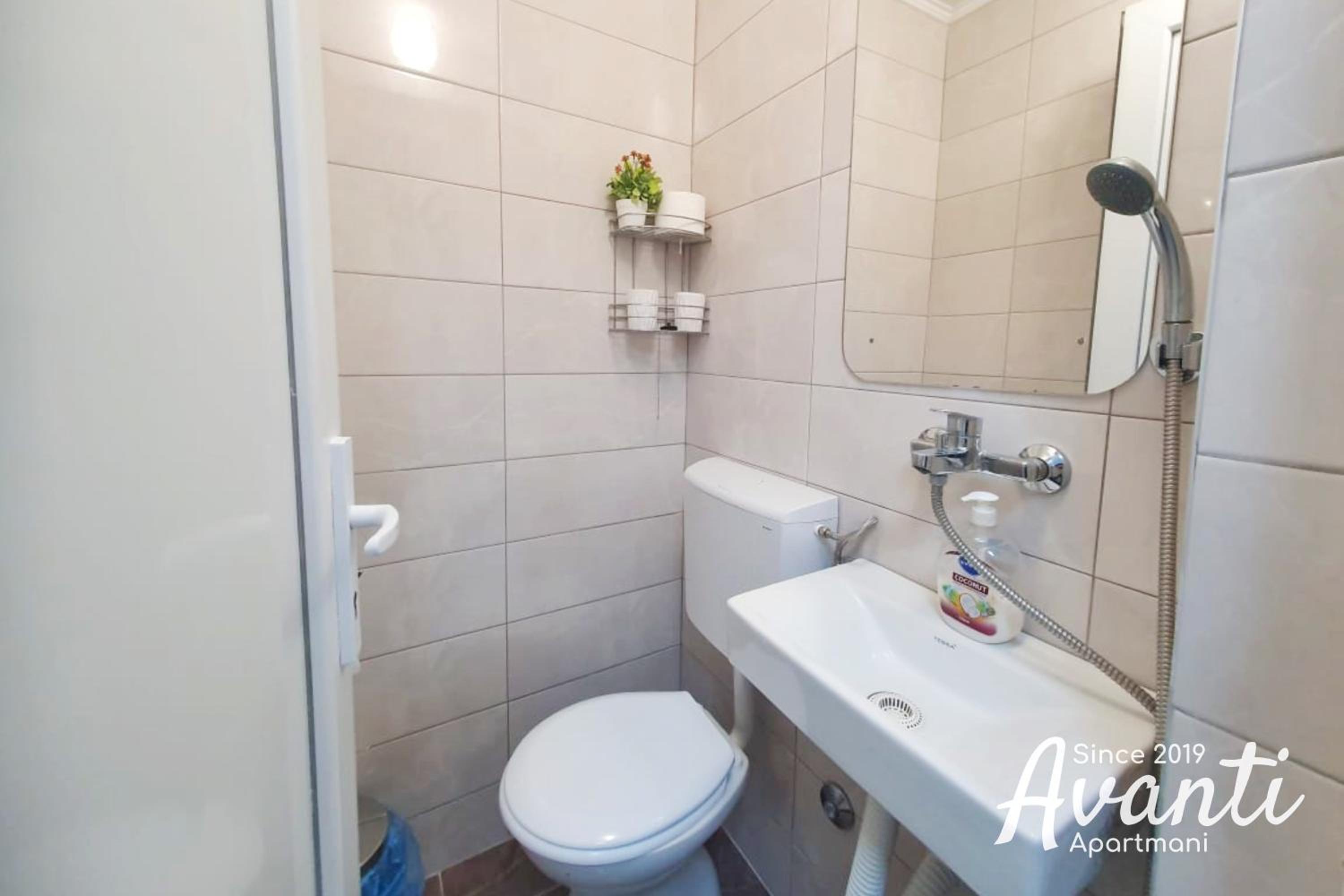 Single Room photo 3