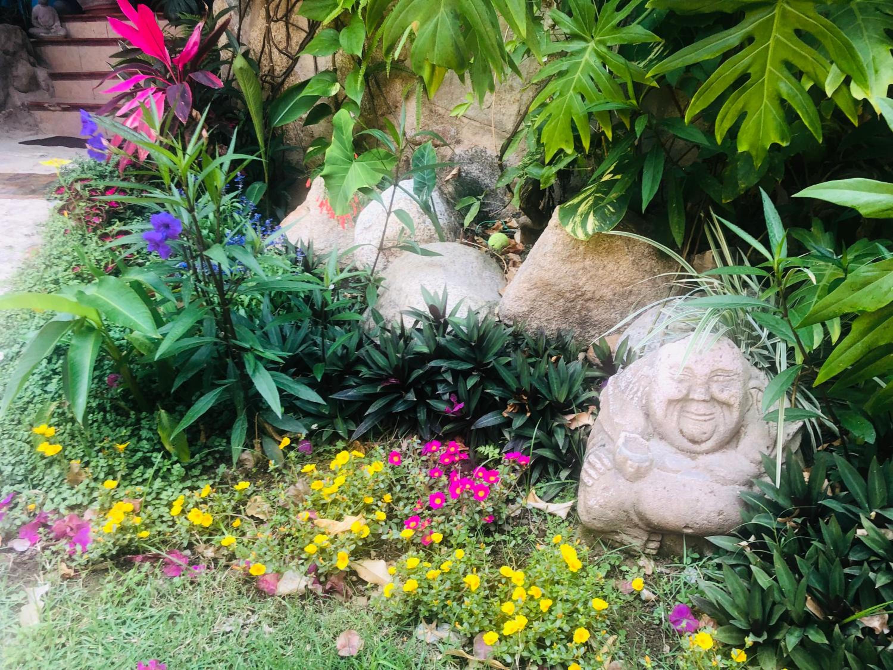 Jungle Hideaway - Photo 10