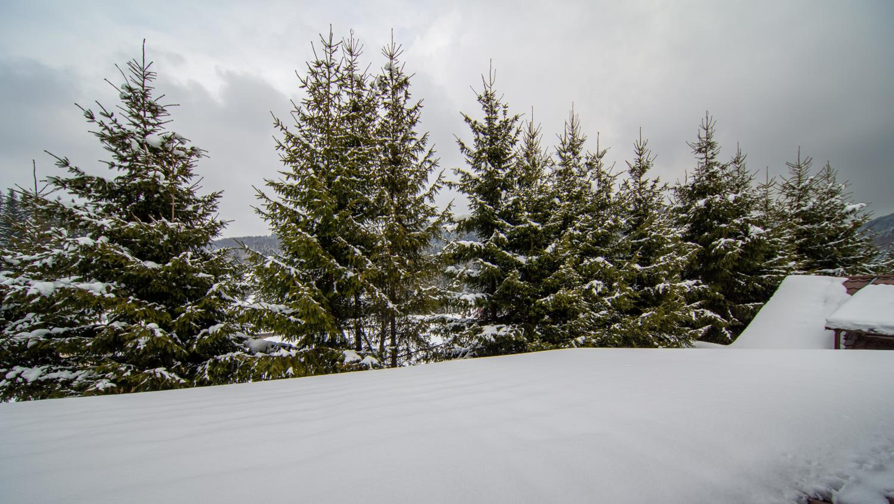 Double Room with Mountain View - Photo 35