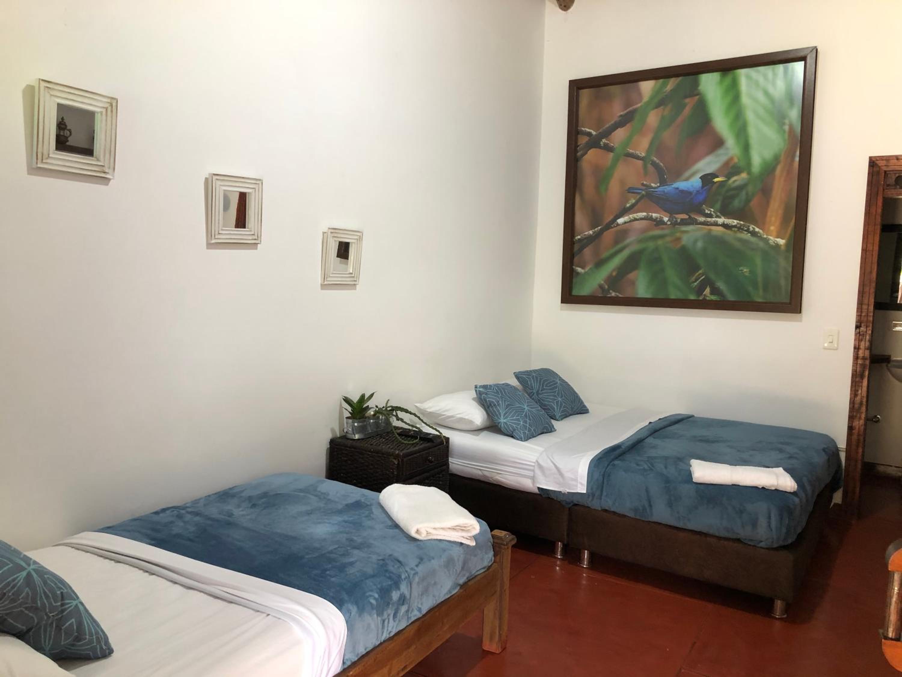 Deluxe Twin Room photo 1