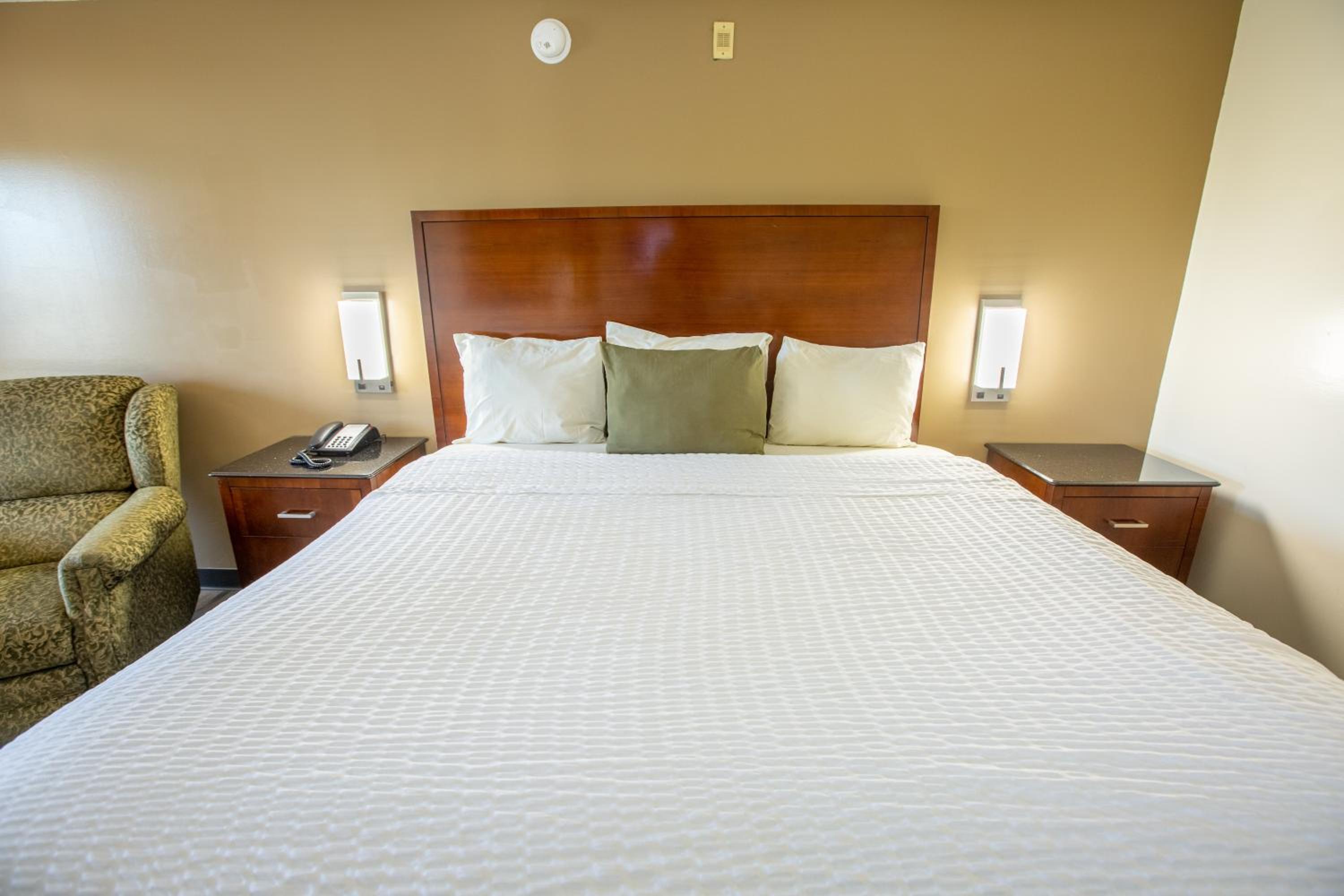 Single Room - Disability Access photo 3