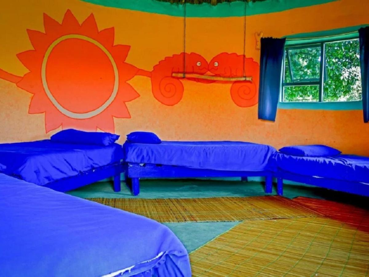 Single Bed in 6-Bed Dormitory Room photo 1