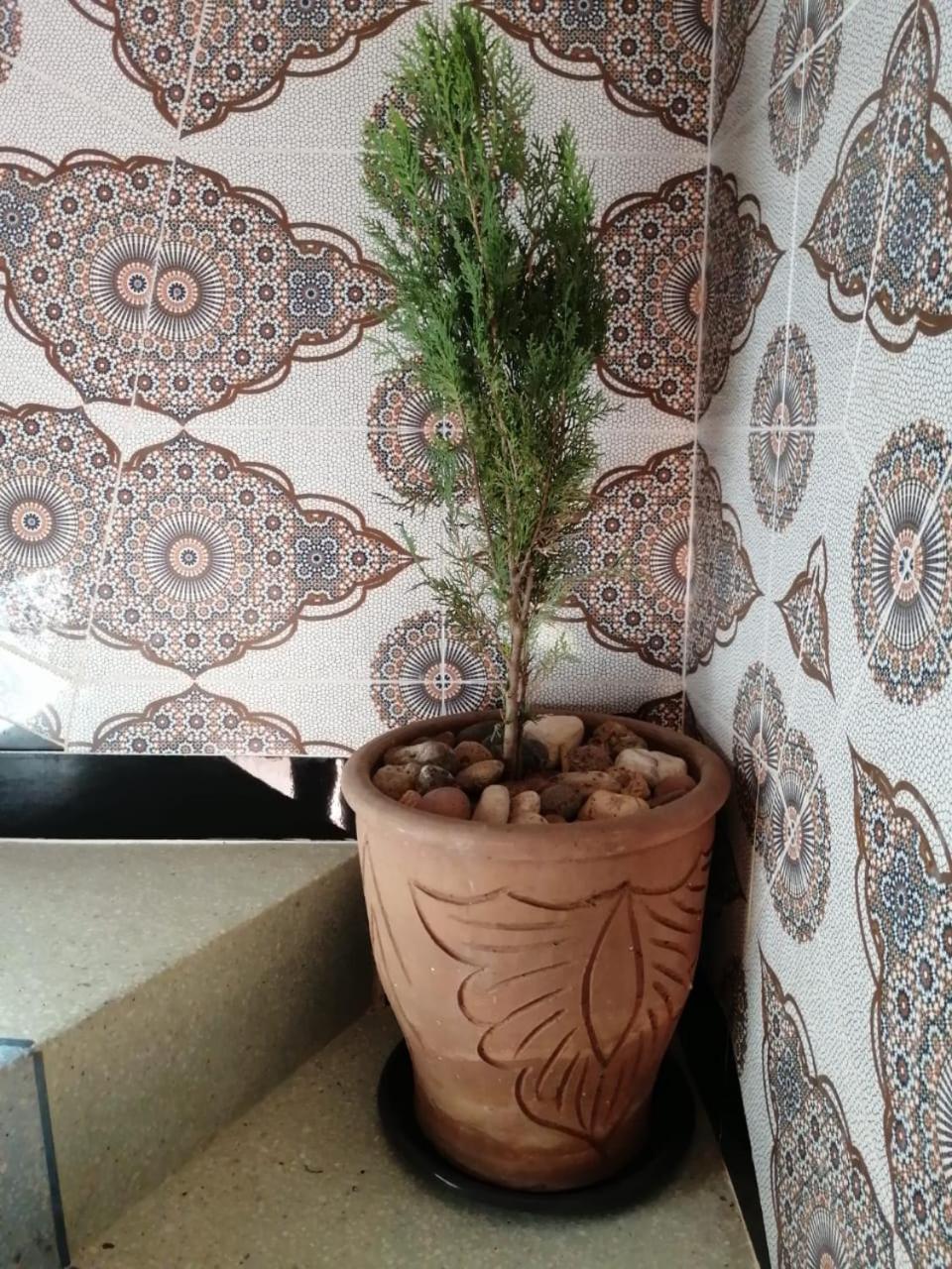 Vacation Home - Photo 6