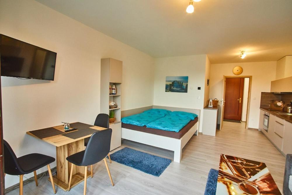 One-Bedroom Apartment photo 3