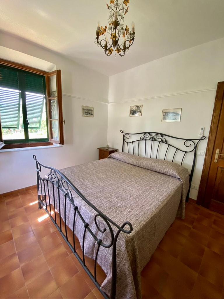 Apartment with Terrace photo 1