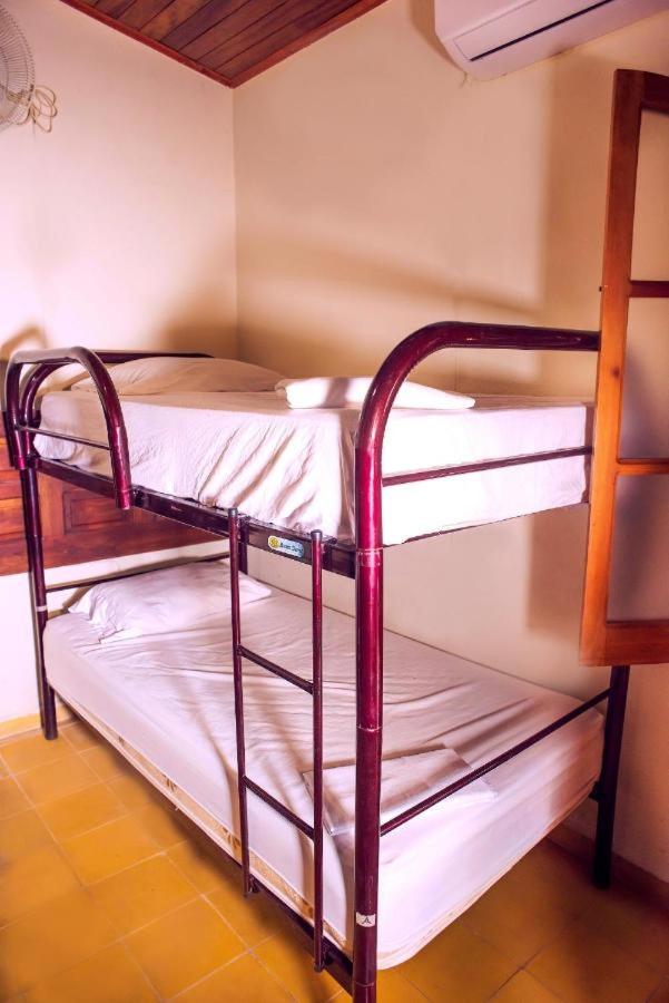 Single Bed in 6-Bed Dormitory Room