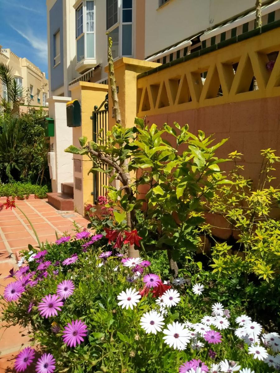 Apartment with Terrace