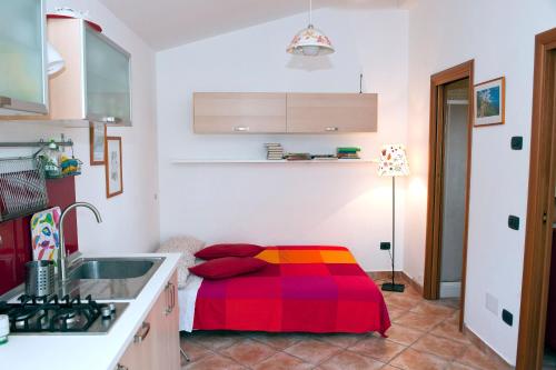 One-Bedroom House photo 3