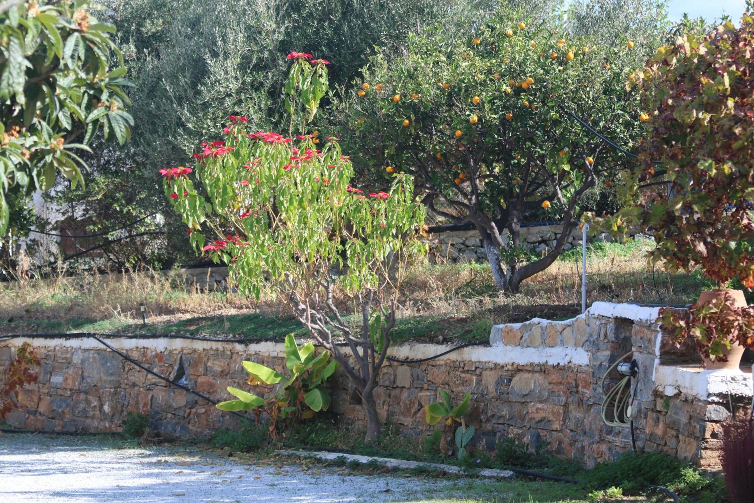 Bungalow with Patio photo 3