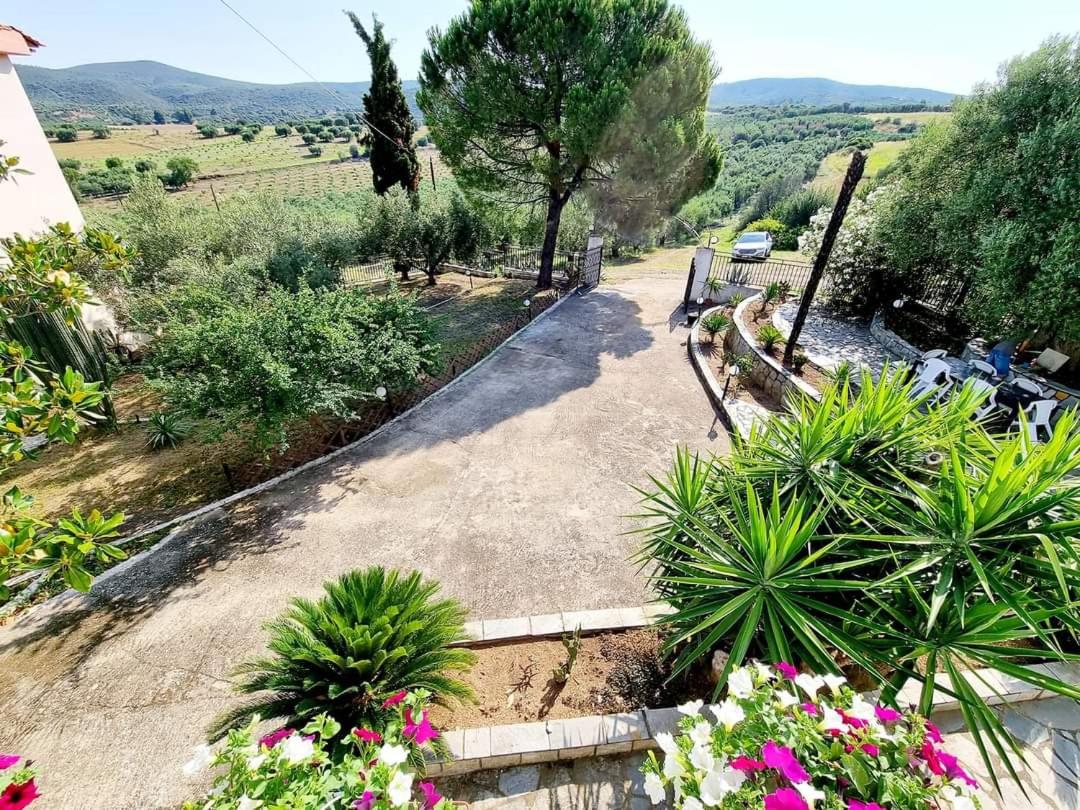 Deluxe Villa photo 2
