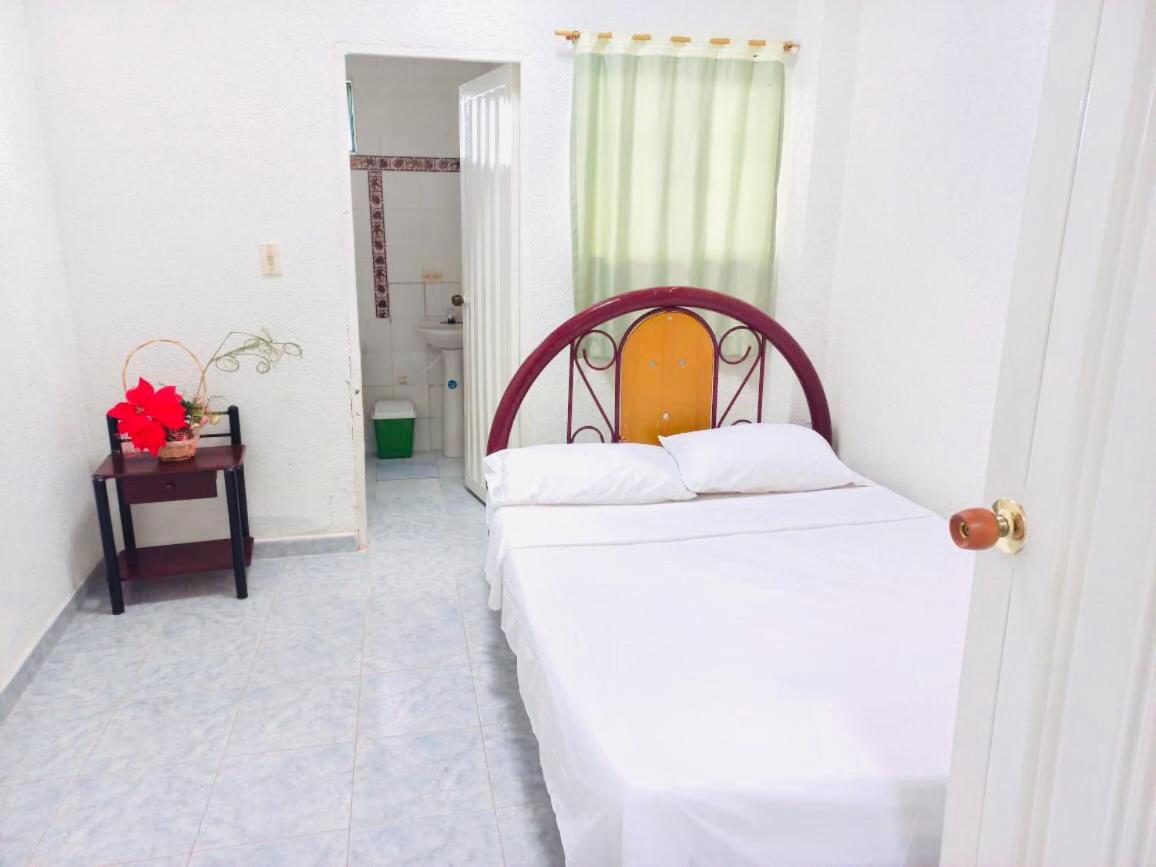 Double or Twin Room photo 2